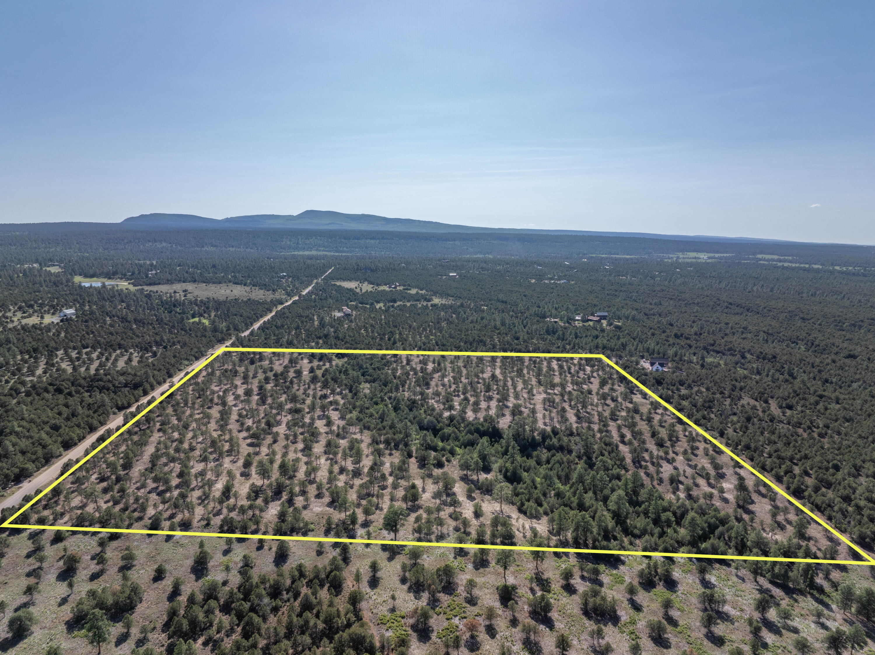 Aerial view of a tree-covered parcel outlined in yellow, with a dirt road and distant mountains.