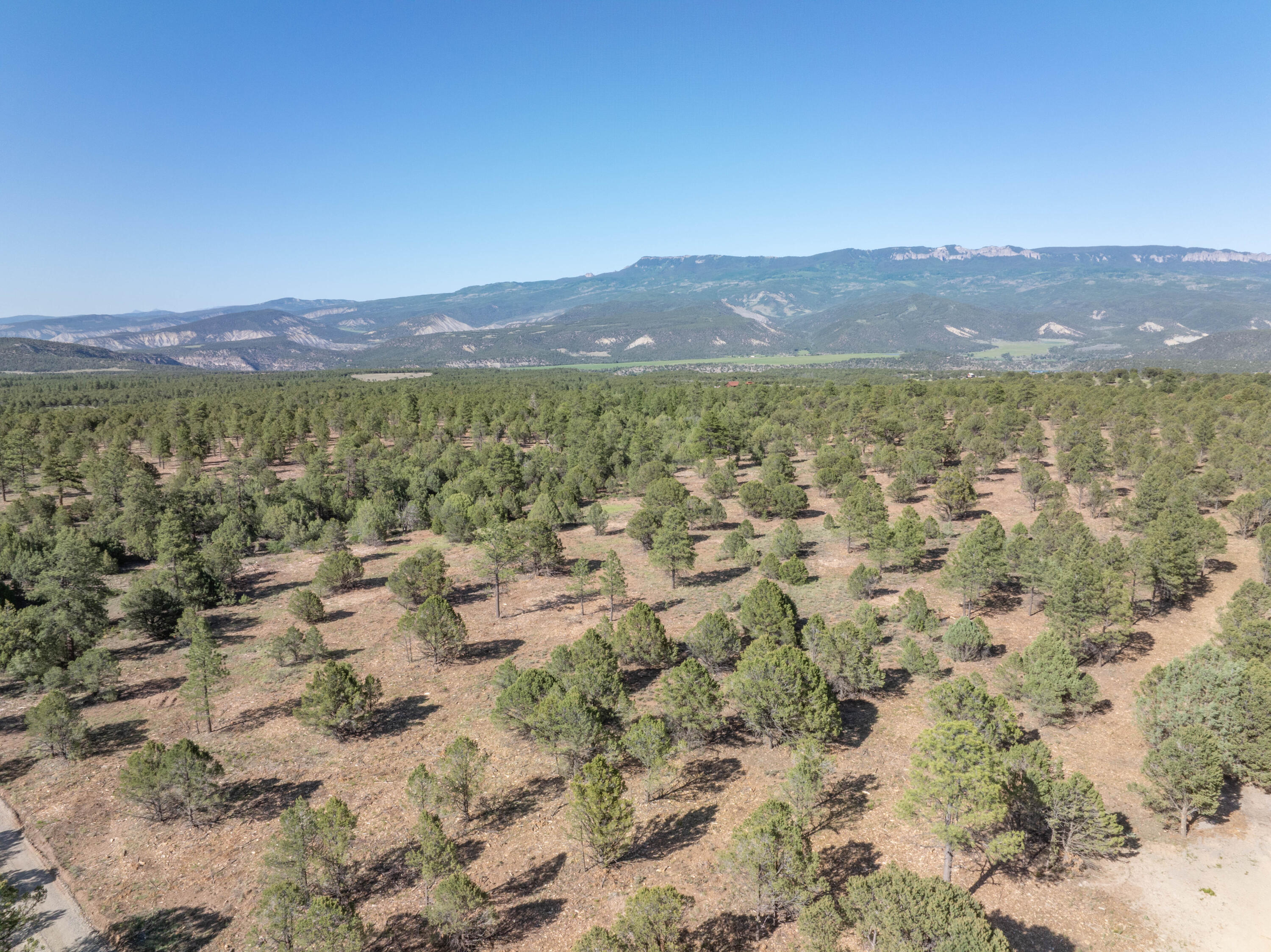 Aerial view of a pine-covered lot with a mountain range and valley beyond.