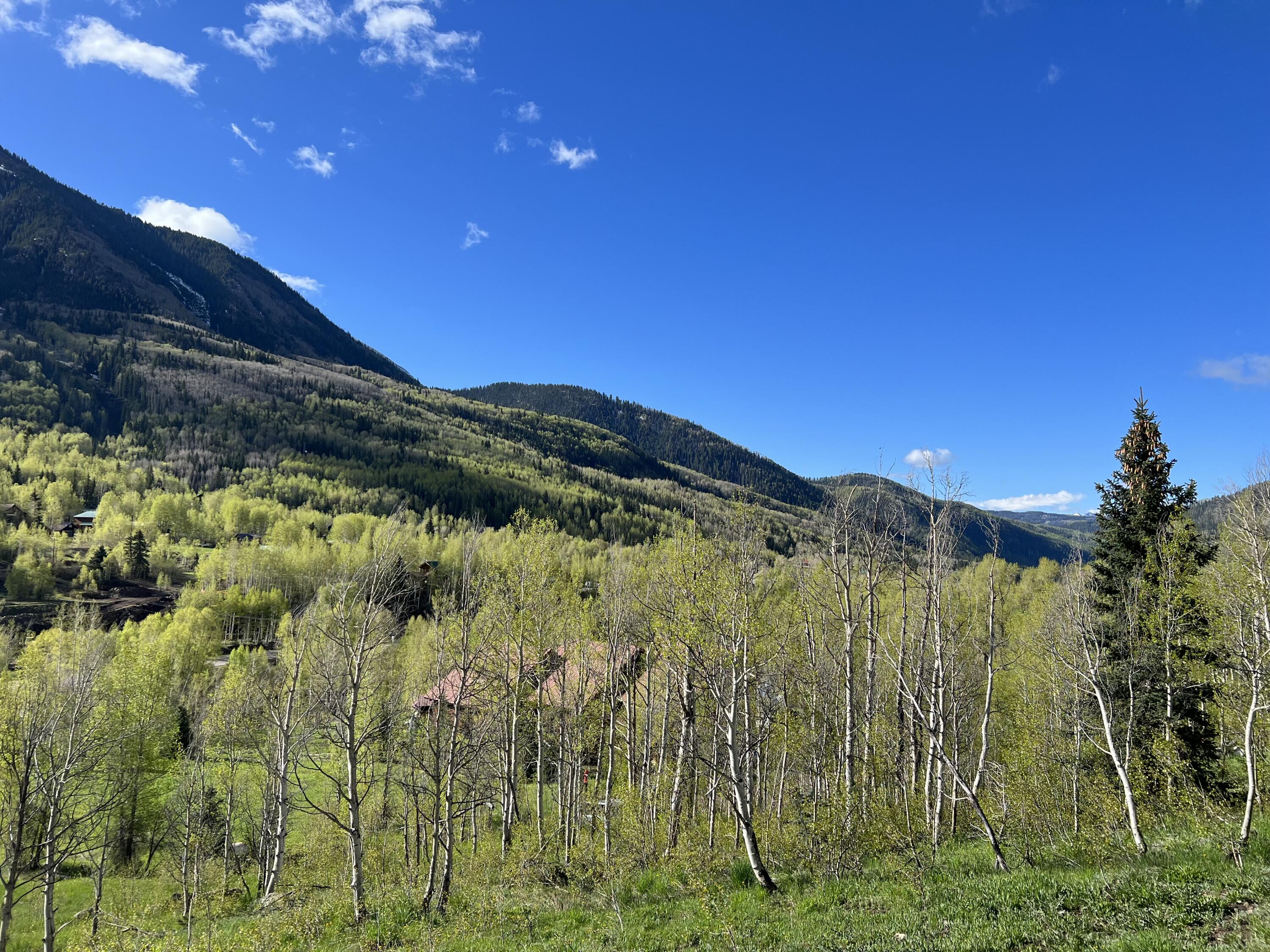 Forested mountain slopes and spring-green aspens beneath a clear blue sky.