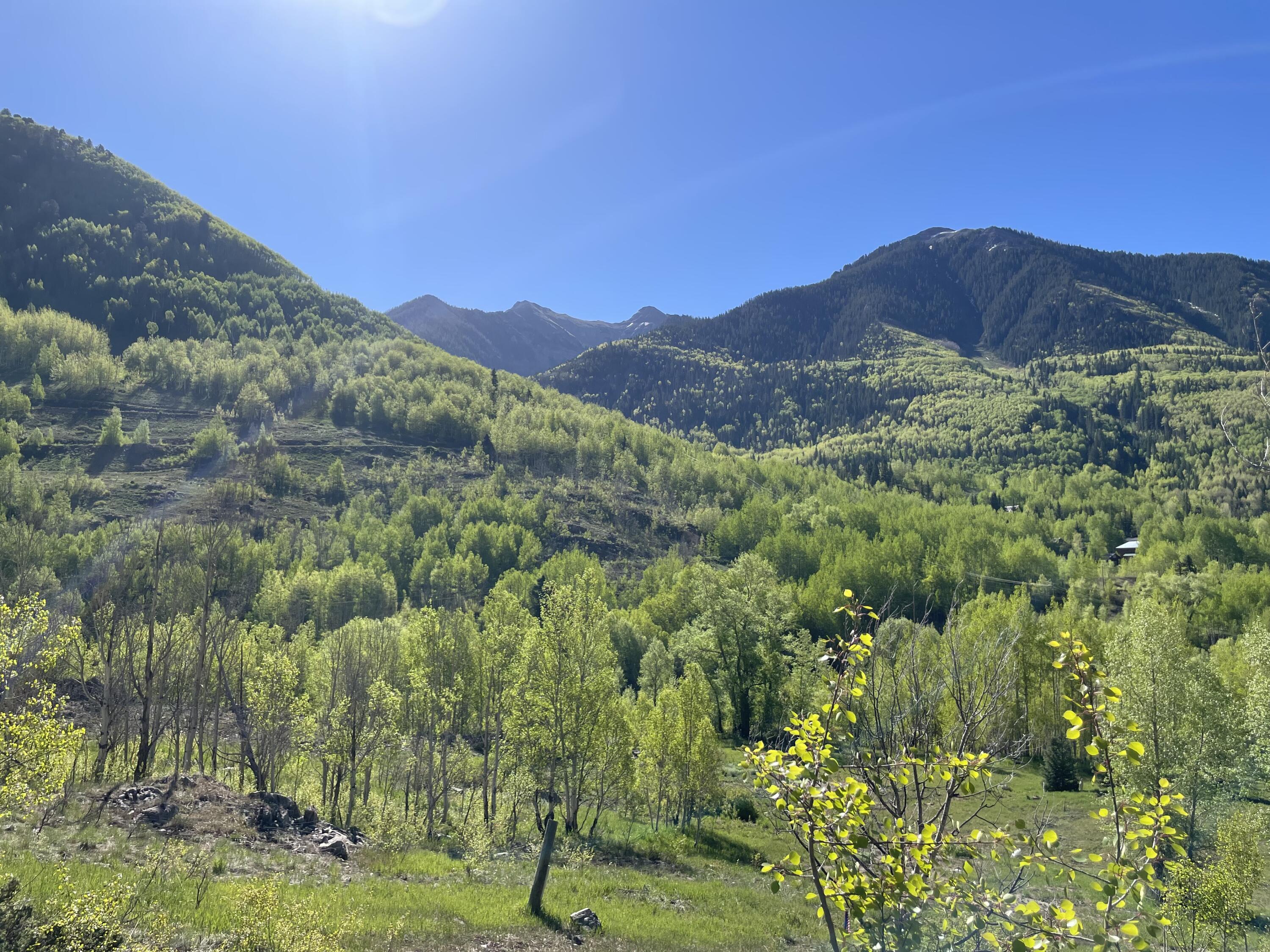 Forested mountain valley viewed across green trees beneath a clear blue sky.