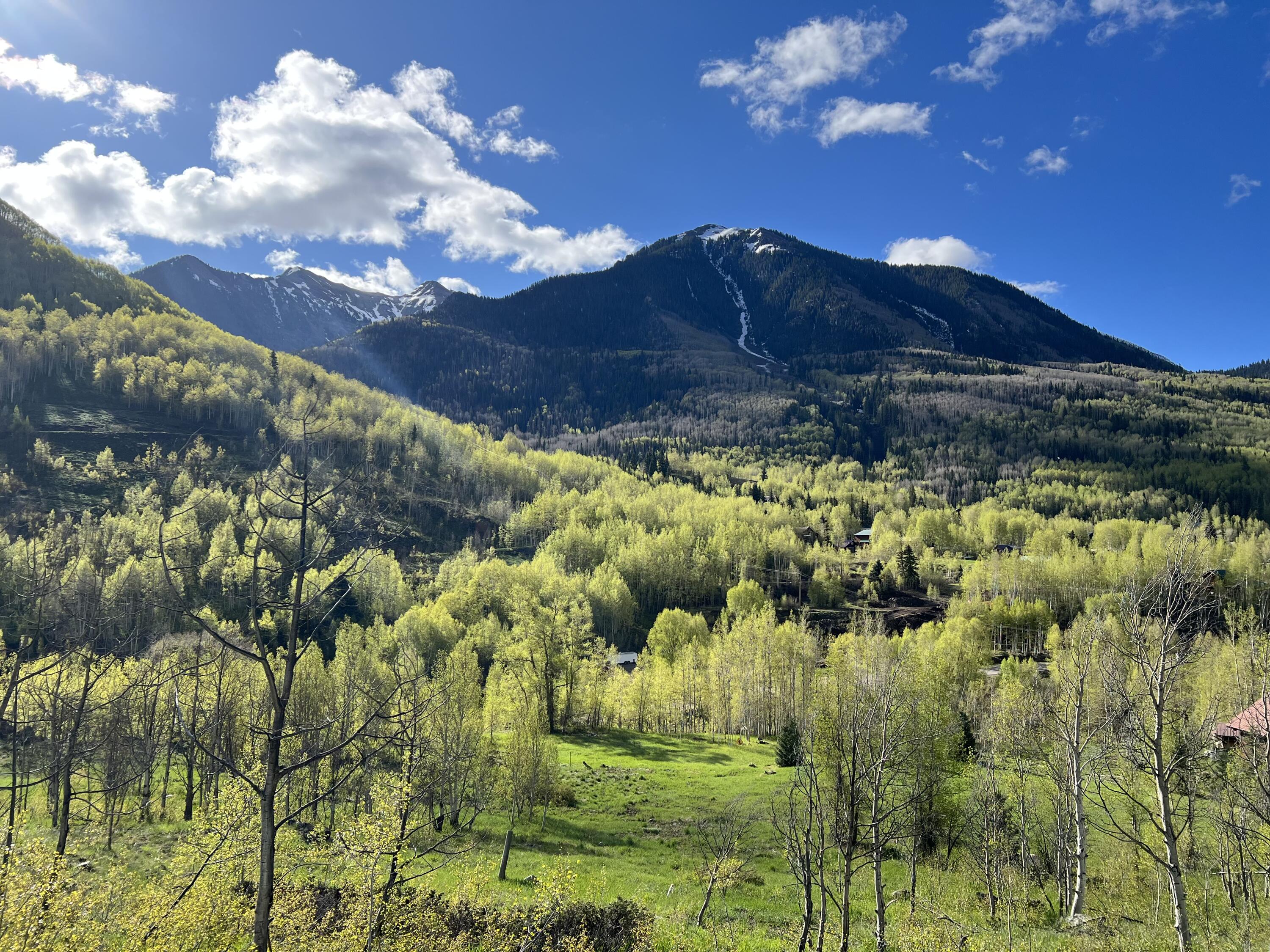 Mountain landscape with snow patches above spring-green aspens and a sunny valley.