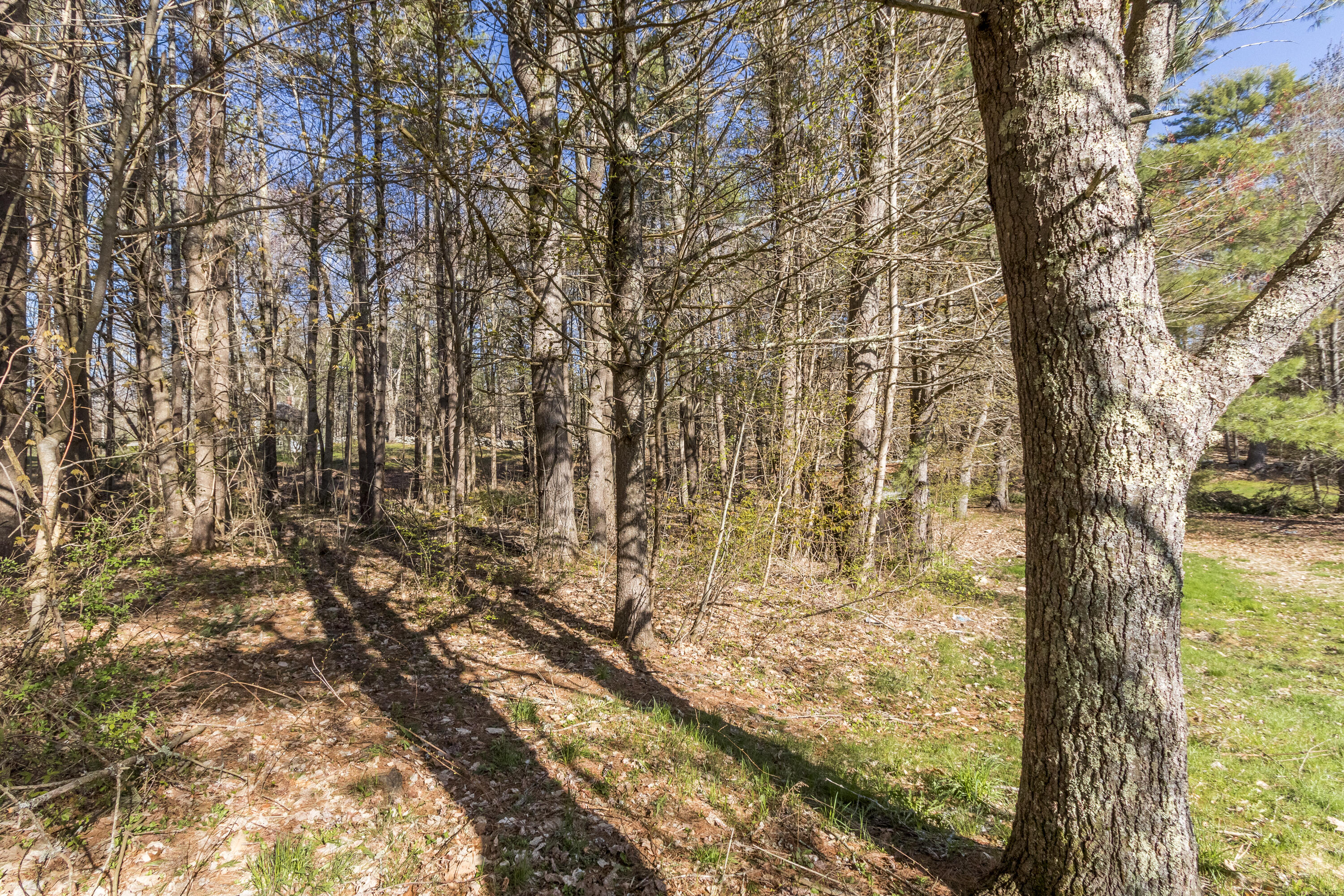 941 Quaker Ridge Road