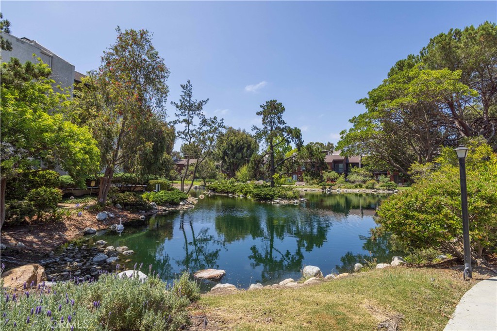 7205 Summertime Lane