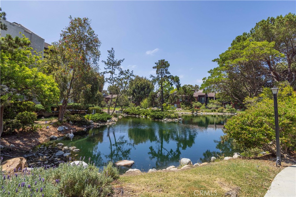 7205 Summertime Lane