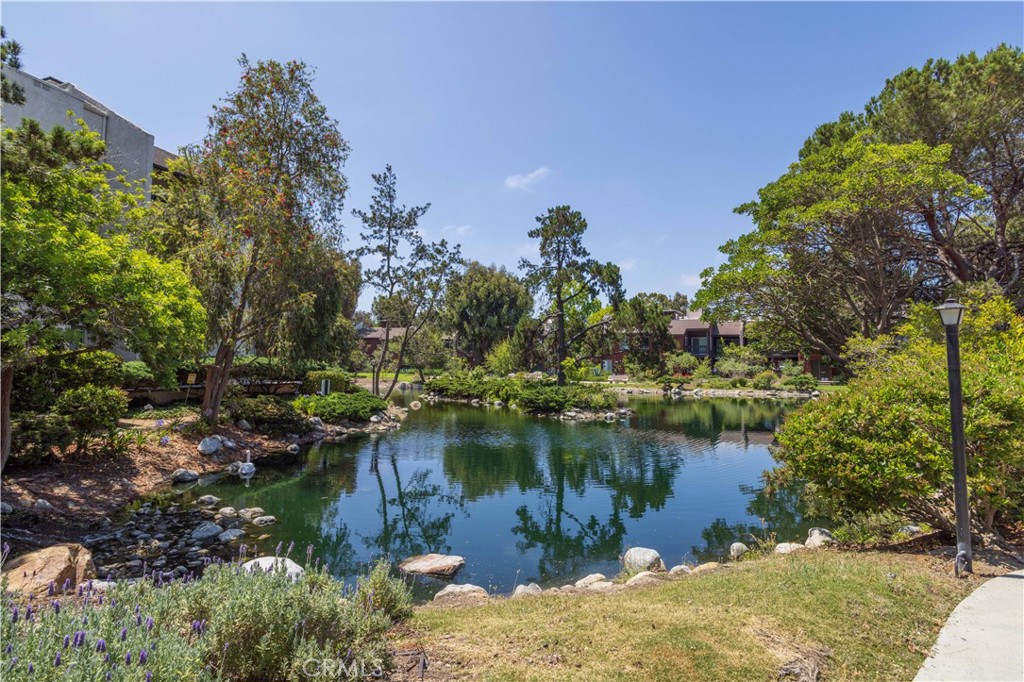 7205 Summertime Lane