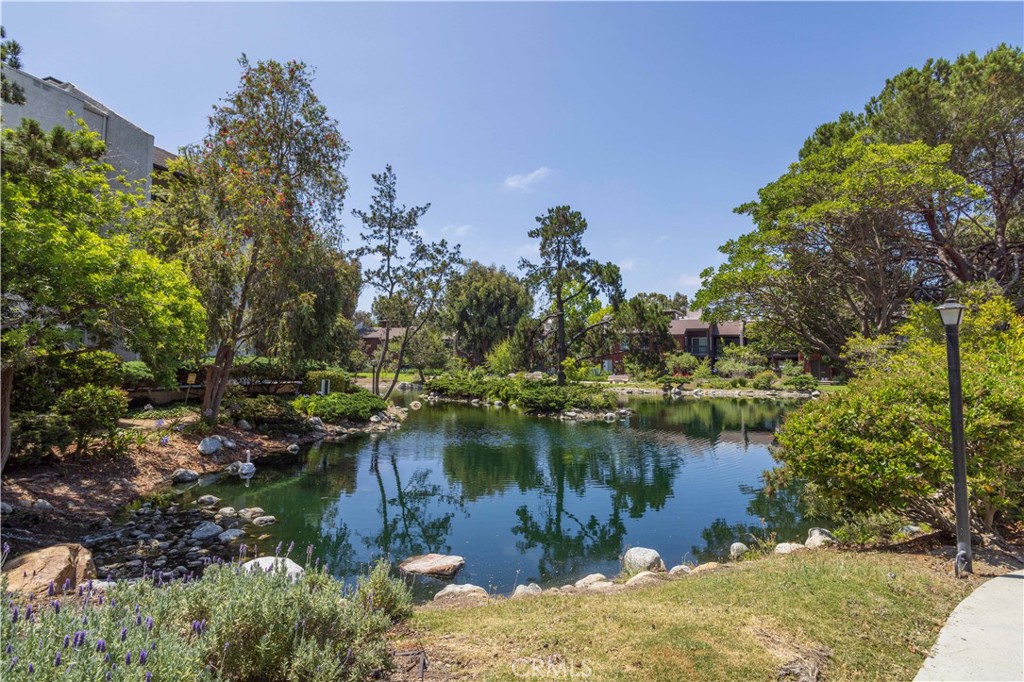 7205 Summertime ln
