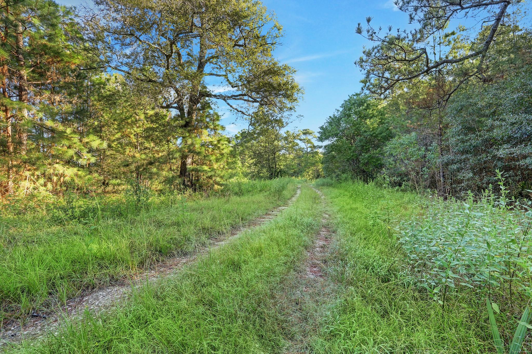 18760 Pin Oak Road