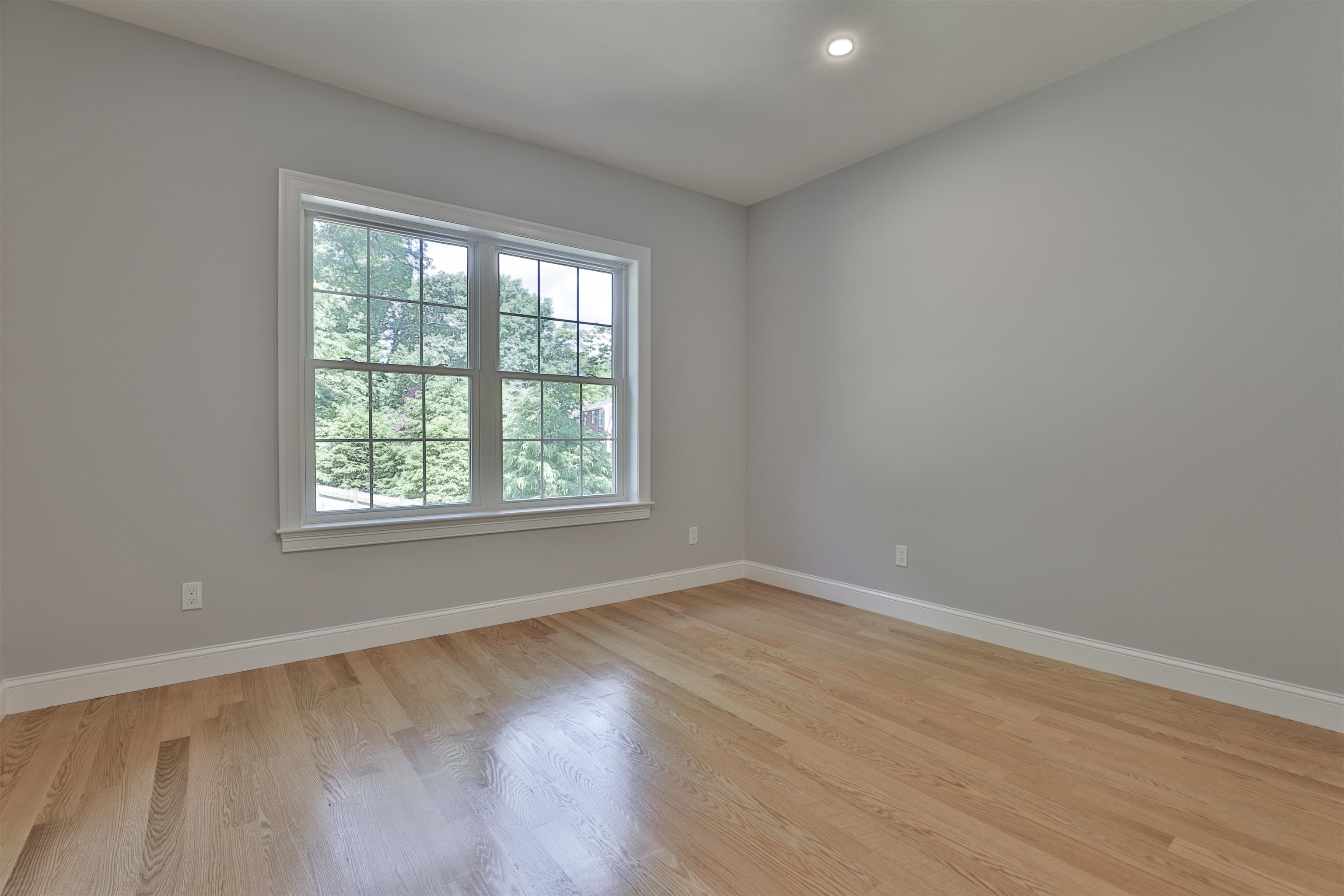 4 Paddington Place Unit: 4