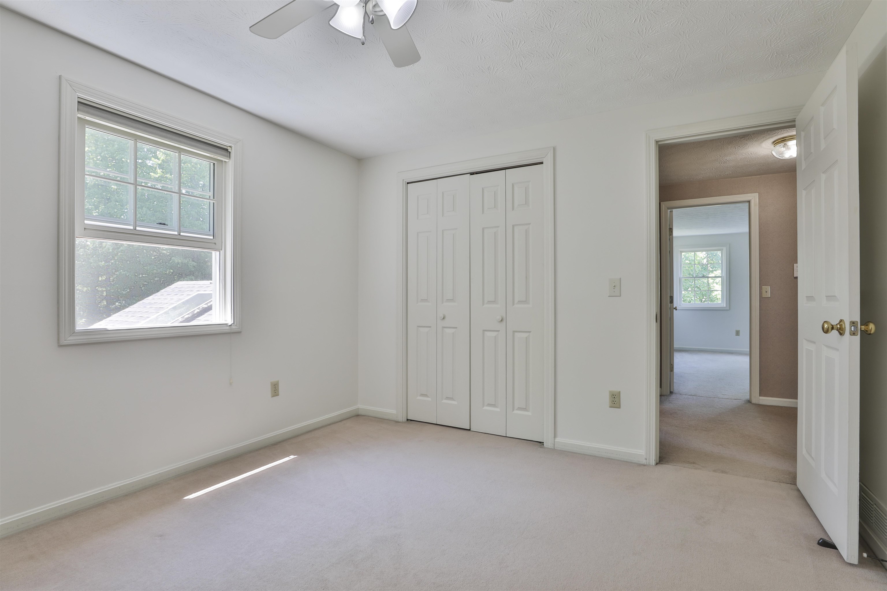 16 Tamarack Court