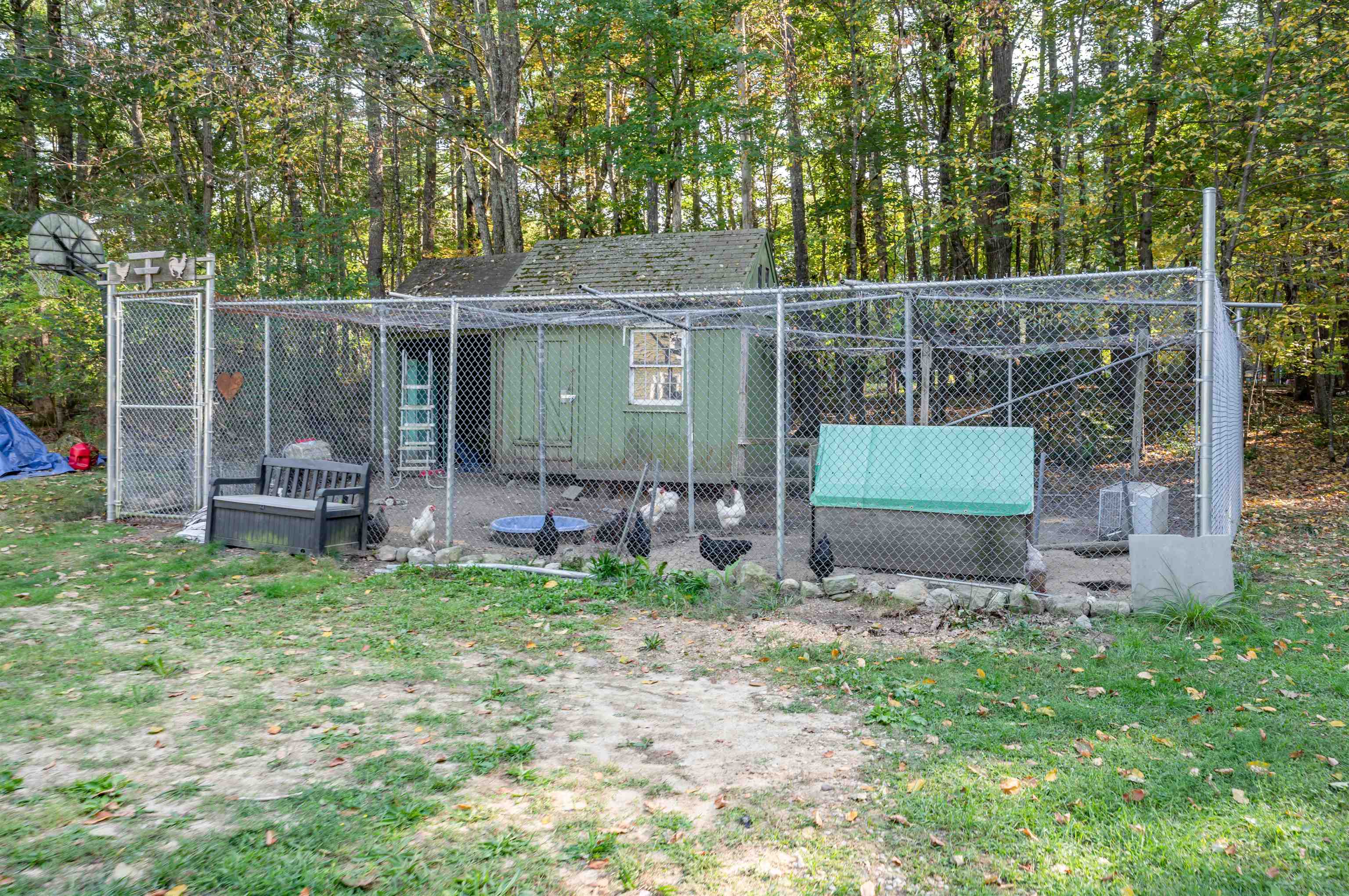 59 Cleveland Hill Road