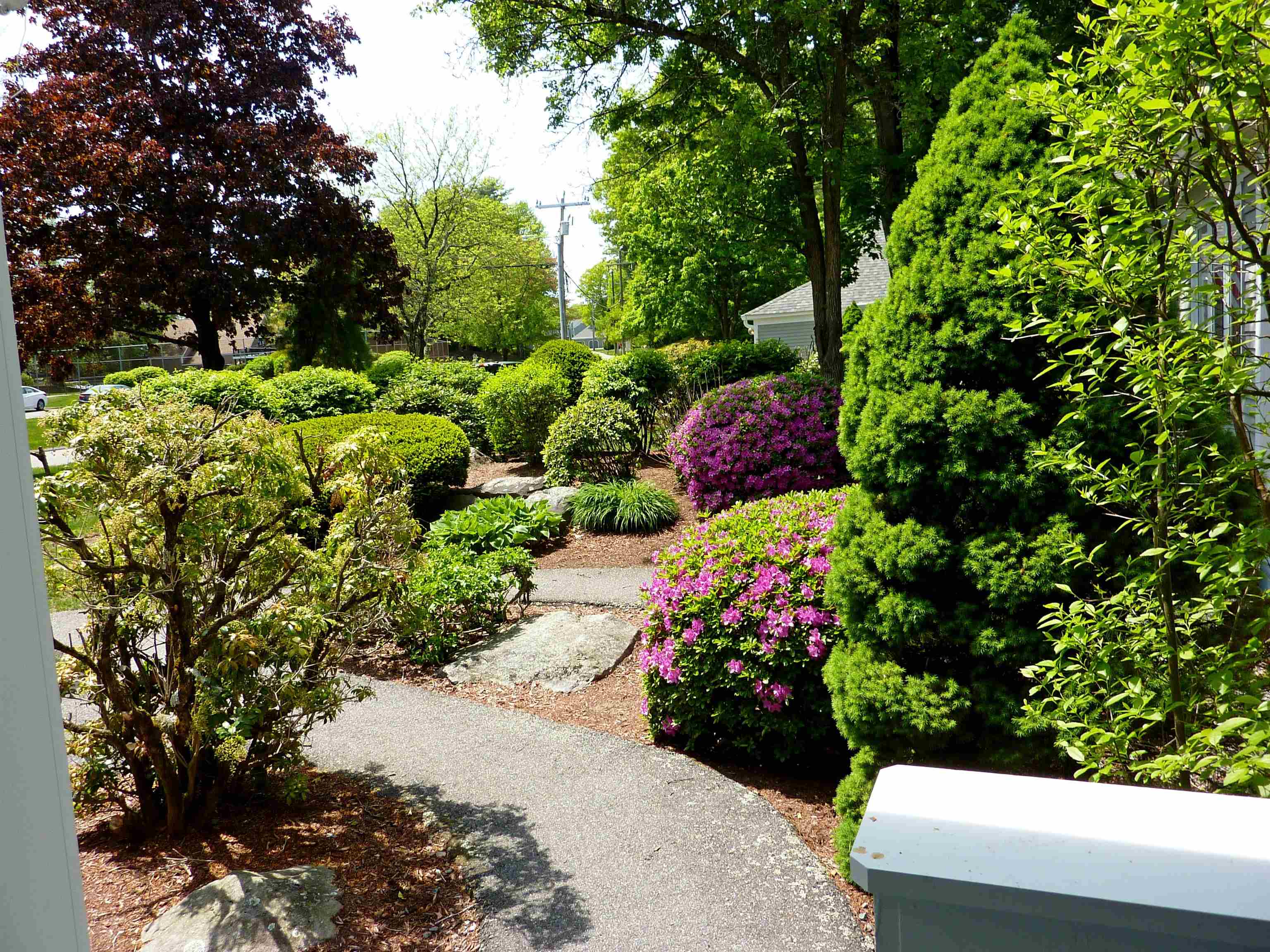 14 Dogwood Drive