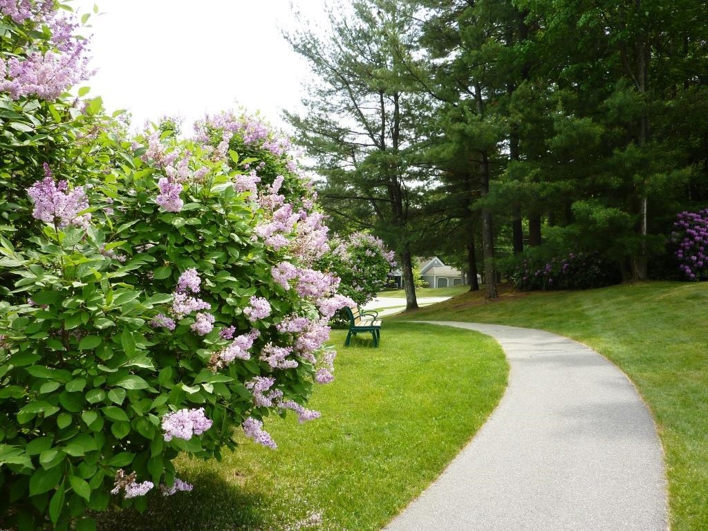 14 Dogwood Drive