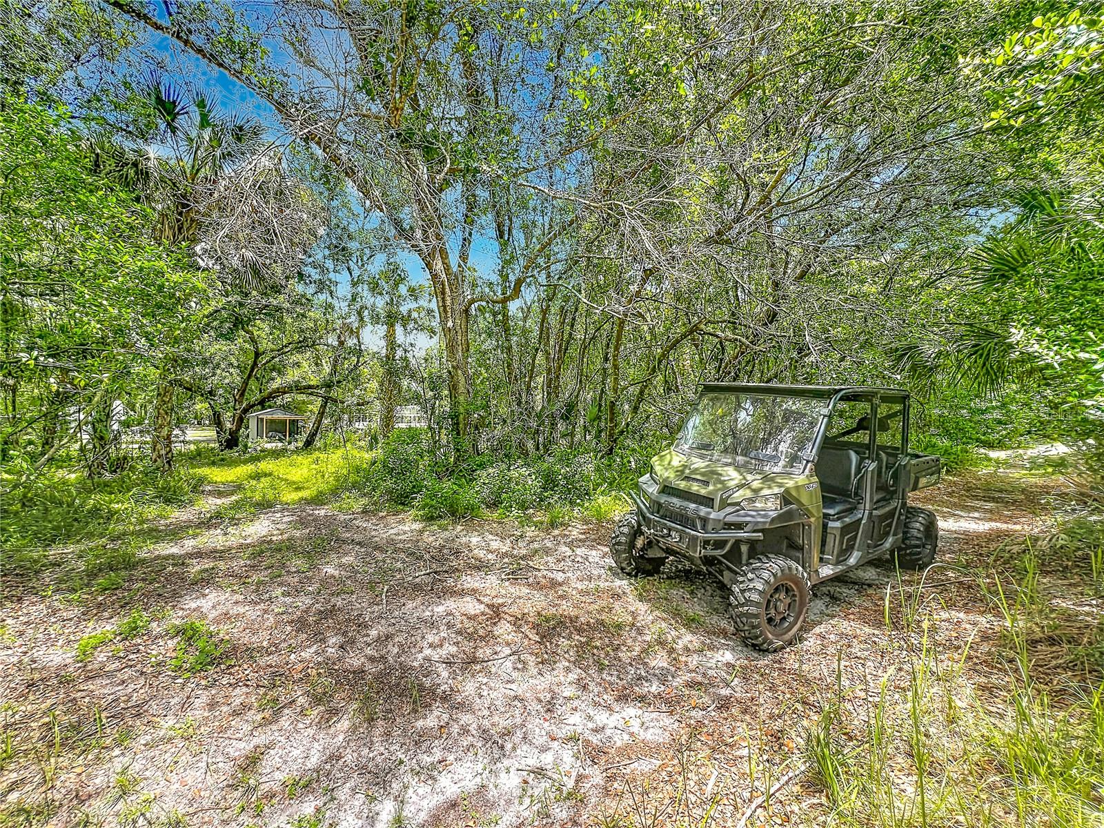 975 DYSON DR