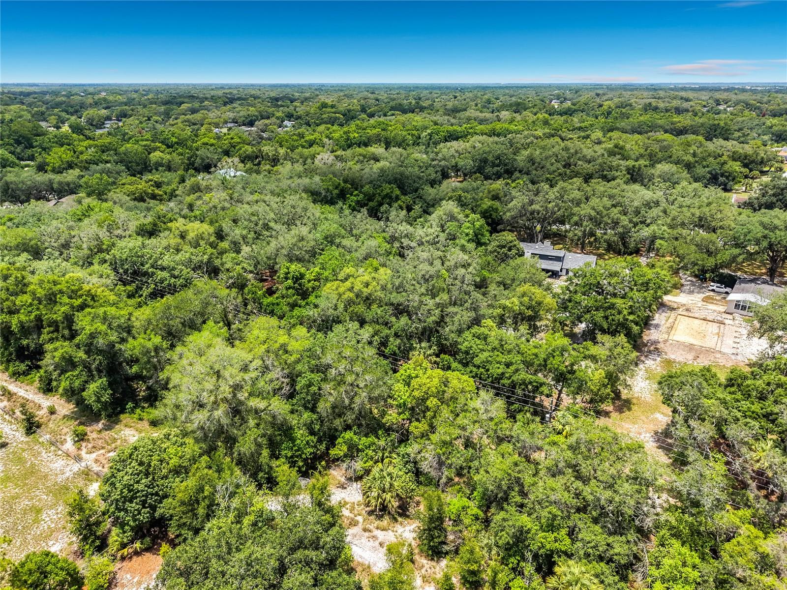 975 DYSON DR