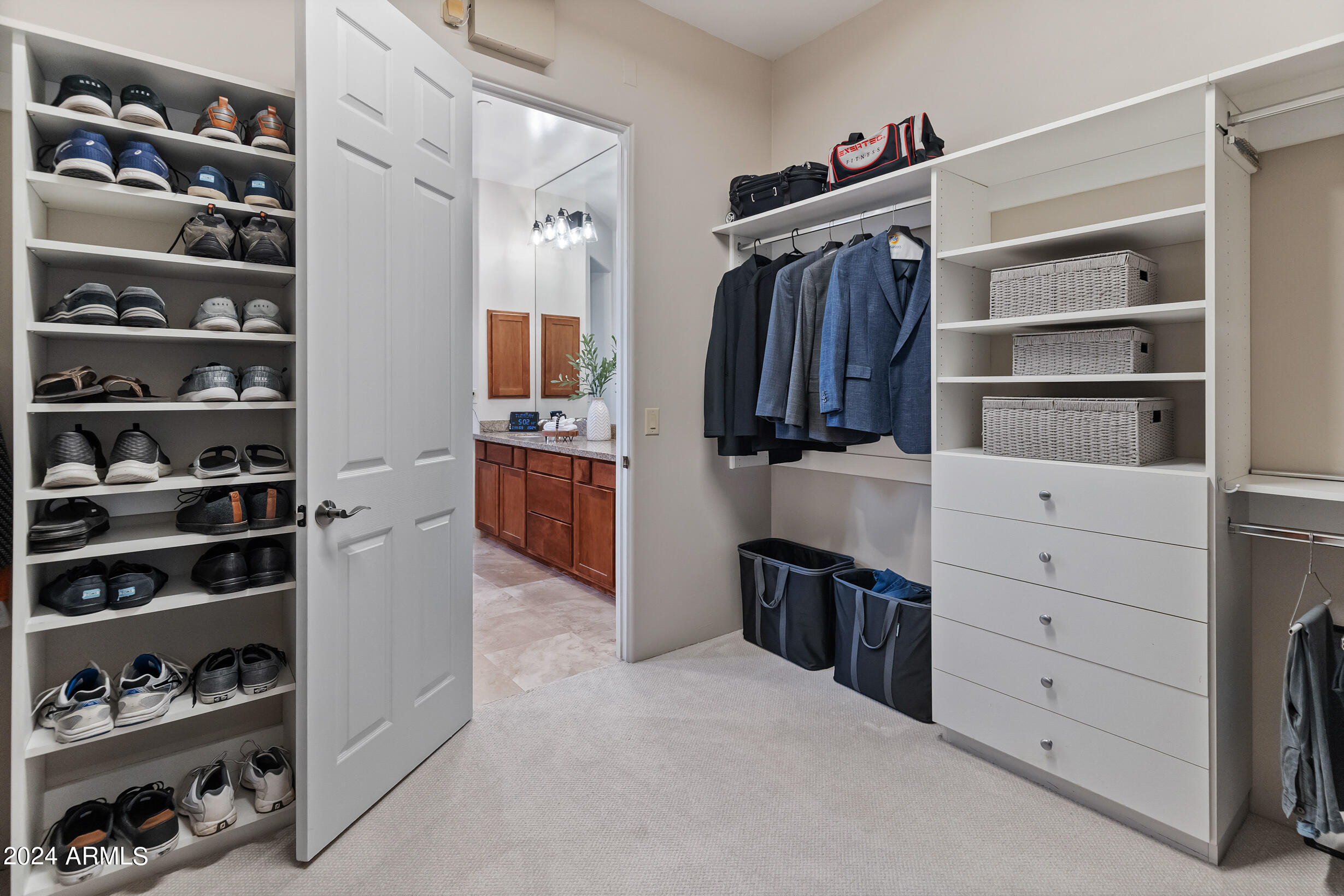 10731 N SONORA Vista