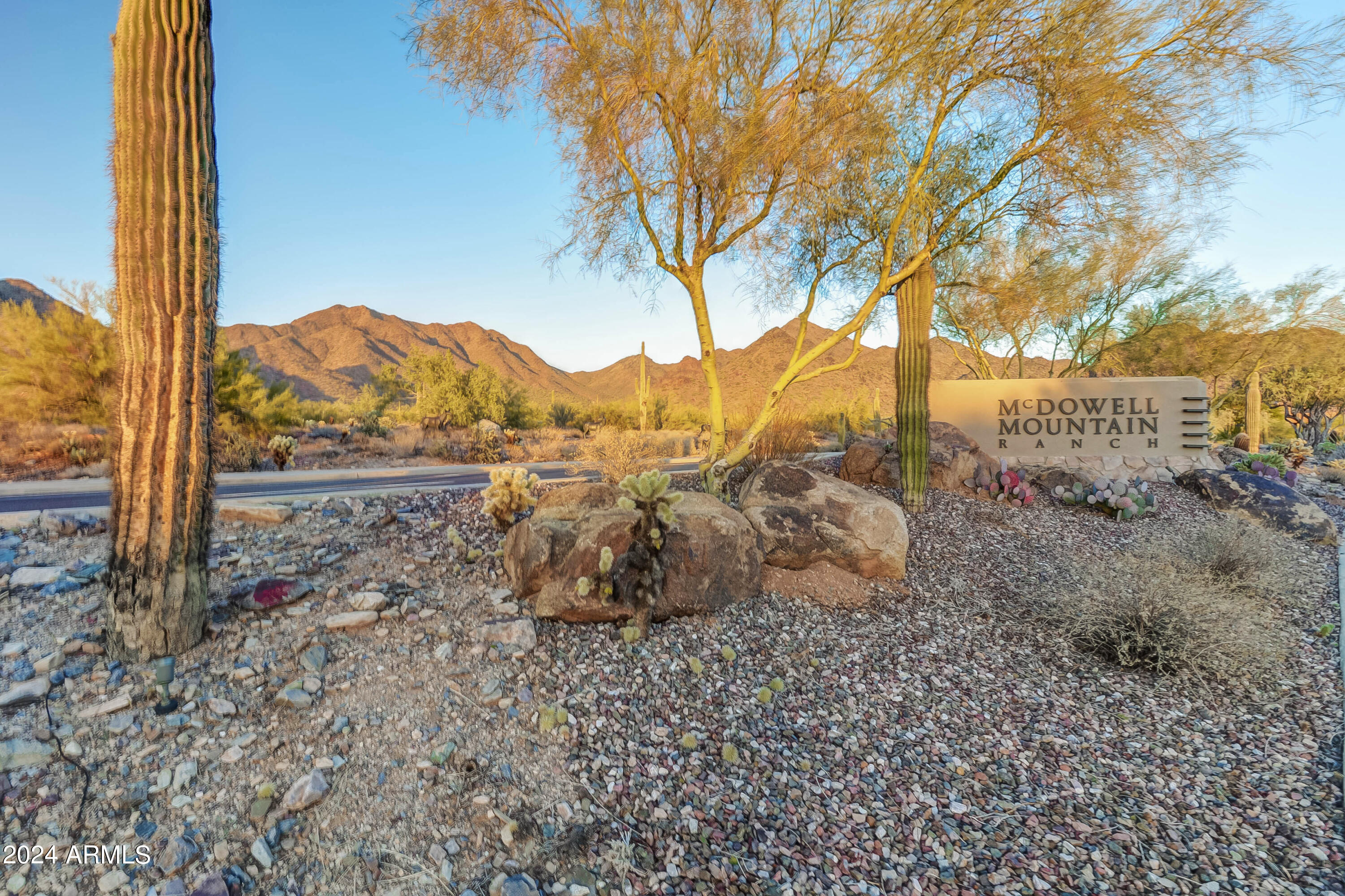 10914 E GELDING Drive