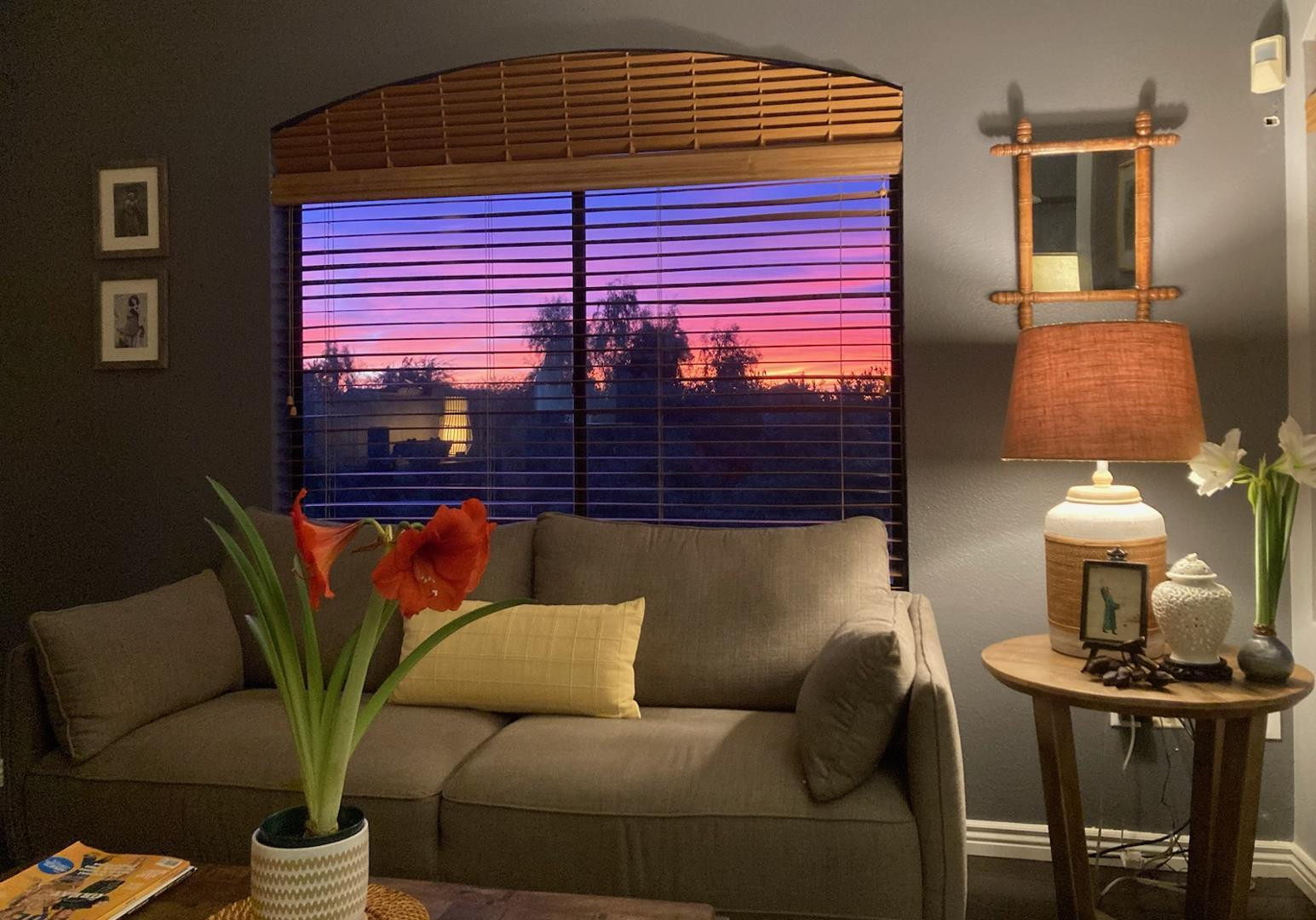 15095 N Thompson Peak Parkway 2052