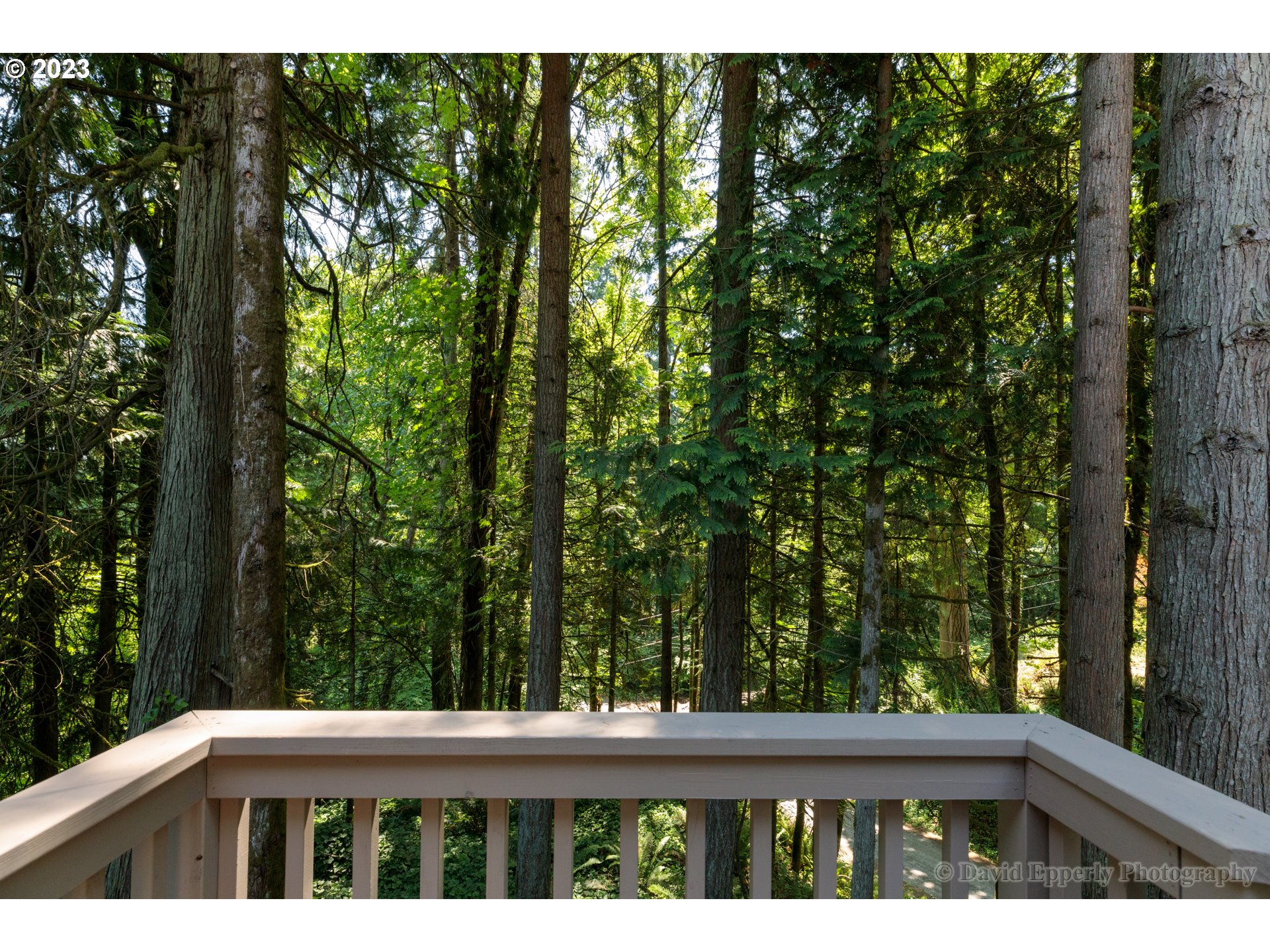 74426 LAUREL WOOD RD