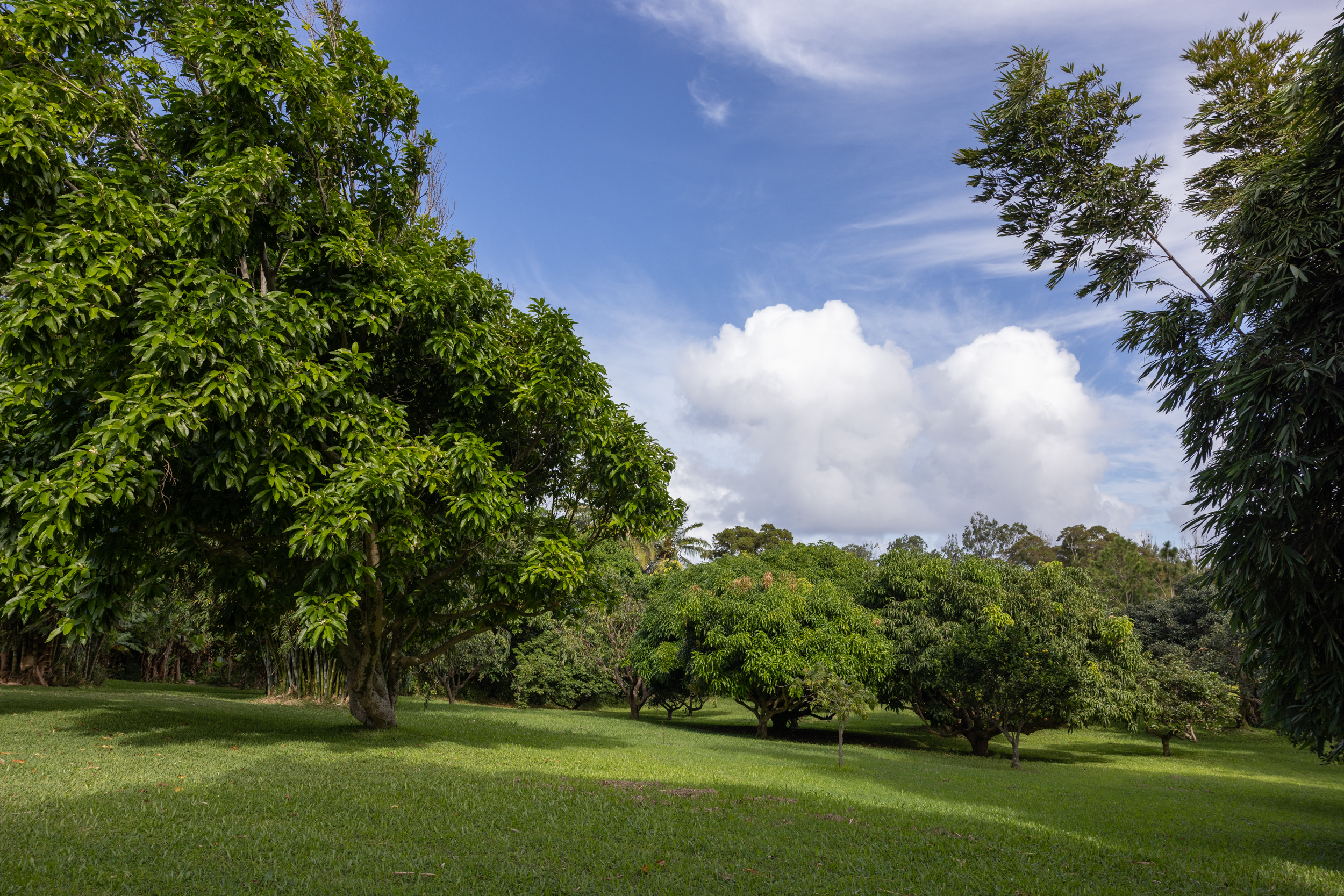 54-511 KAPAAU RD