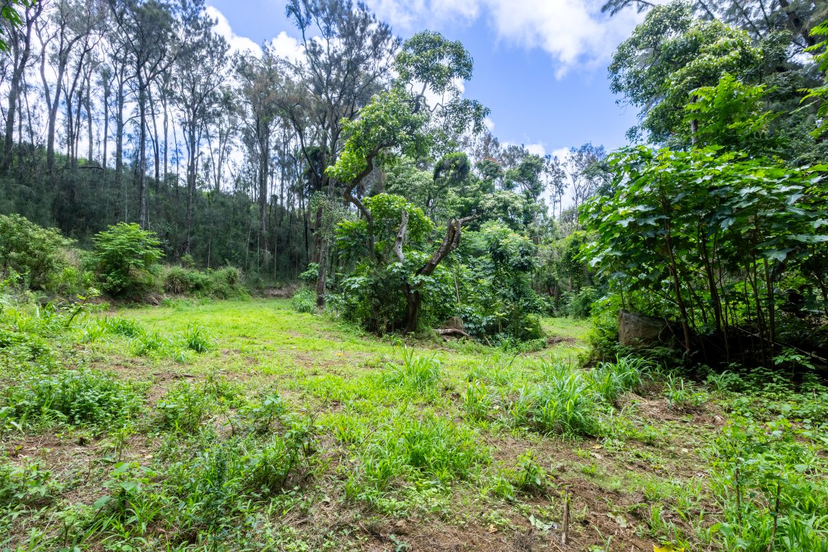 54-1749 PAIPO KANE RD