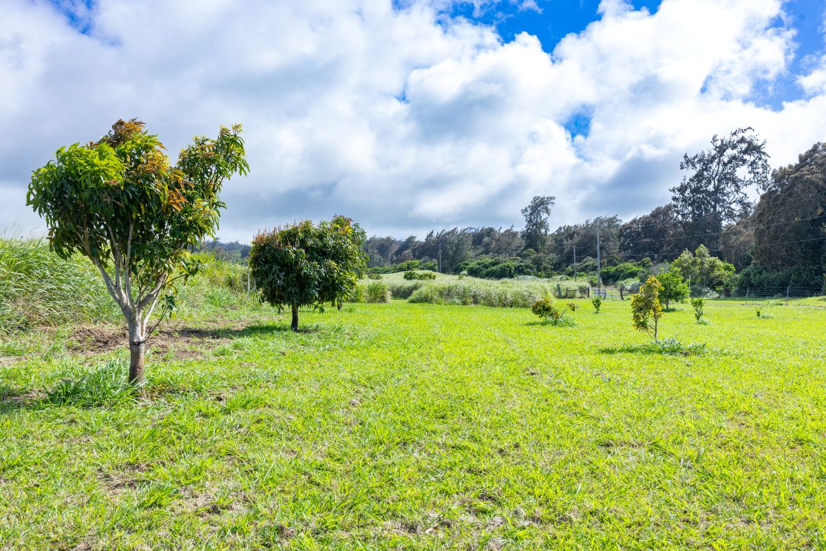 54-1749 PAIPO KANE RD
