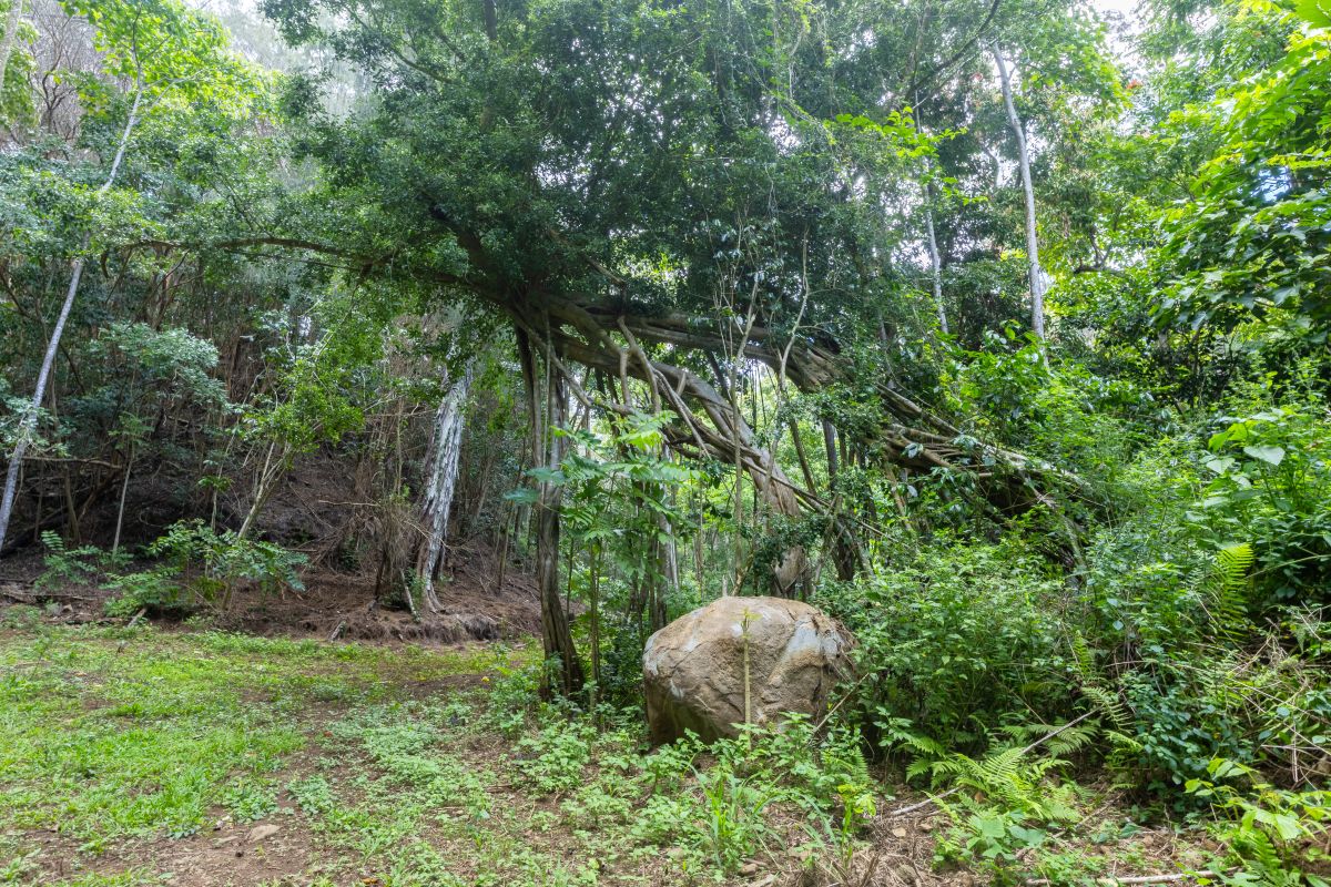 54-1749 PAIPO KANE RD