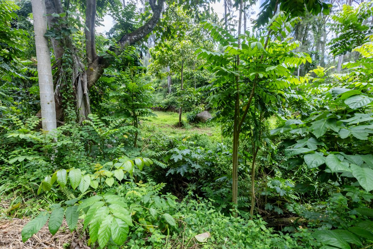 54-1749 PAIPO KANE RD