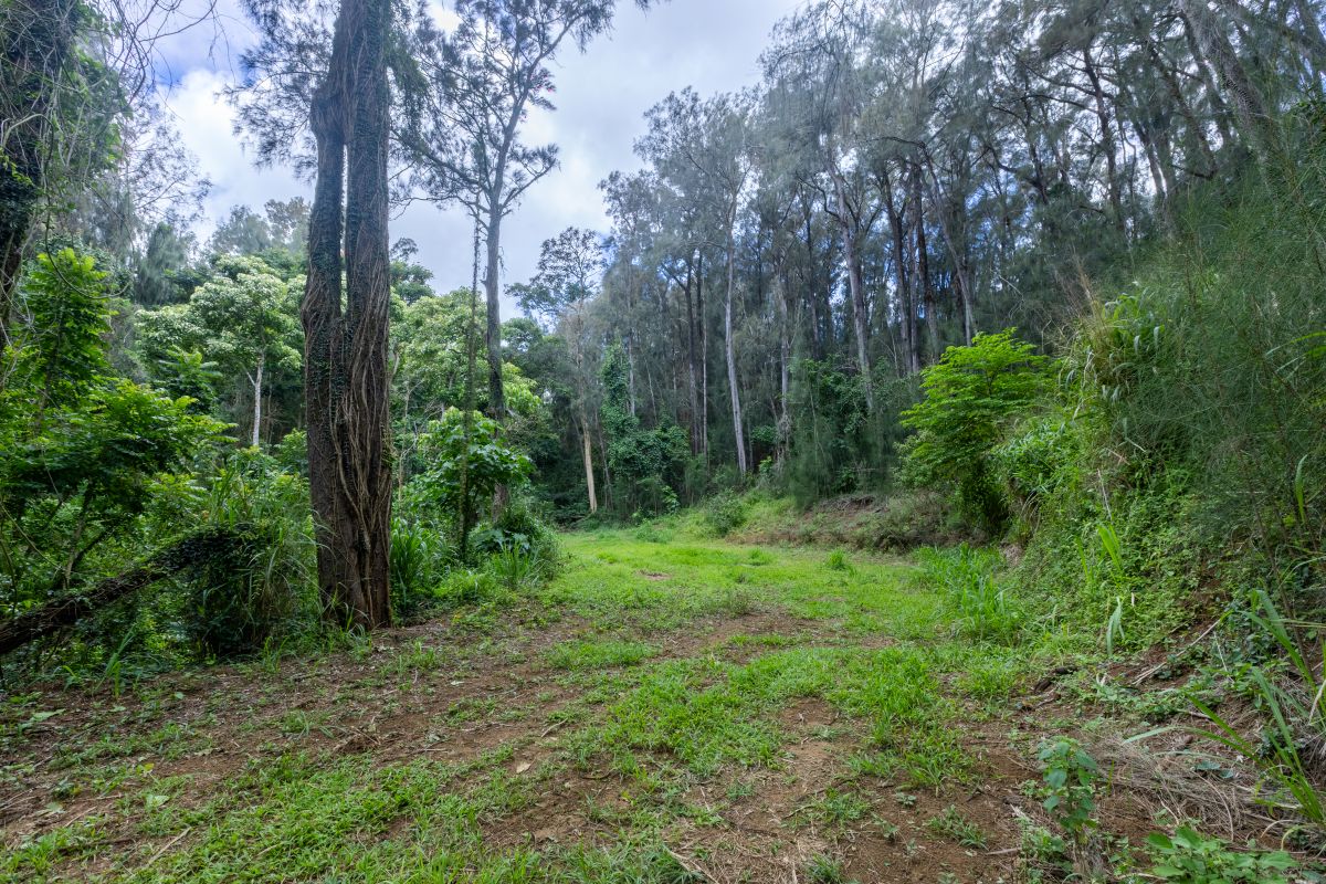 54-1749 PAIPO KANE RD