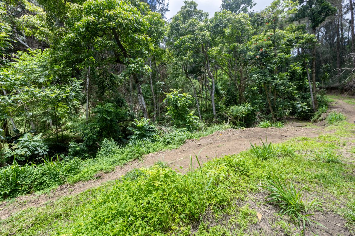 54-1749 PAIPO KANE RD