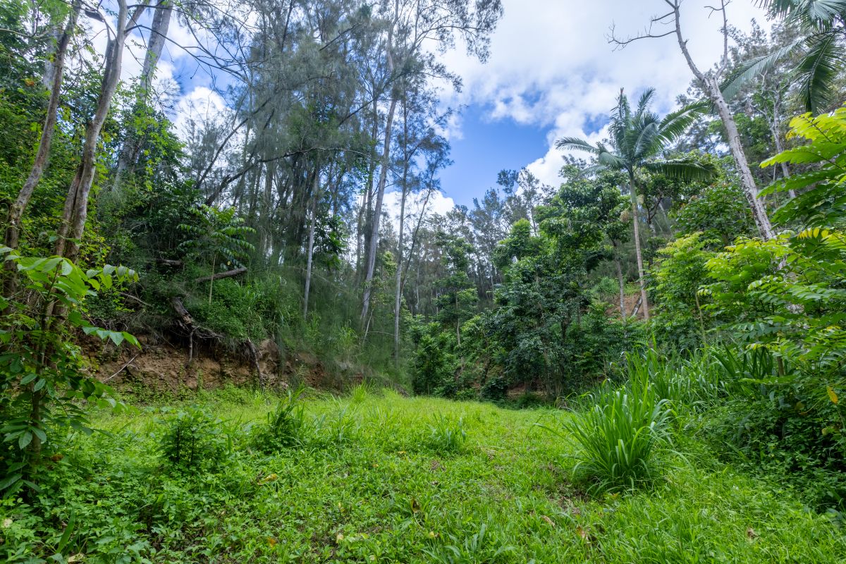 54-1749 PAIPO KANE RD