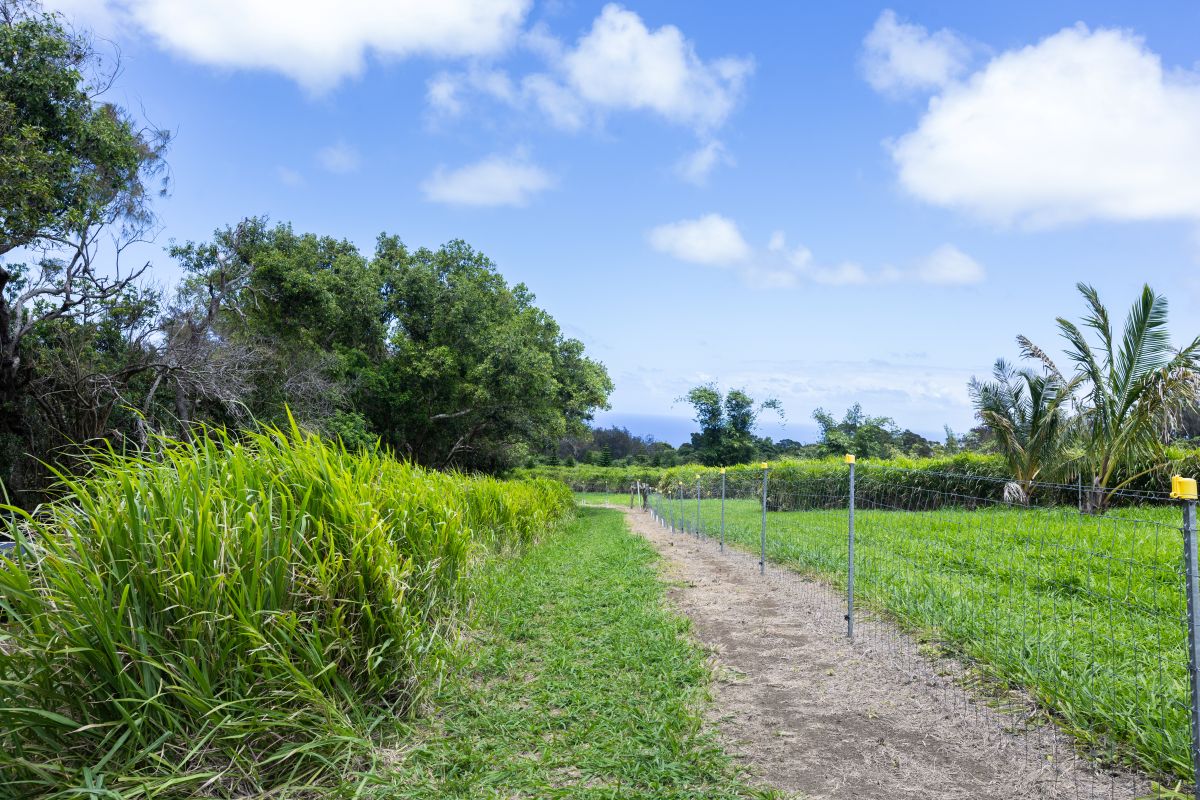 54-1749 PAIPO KANE RD