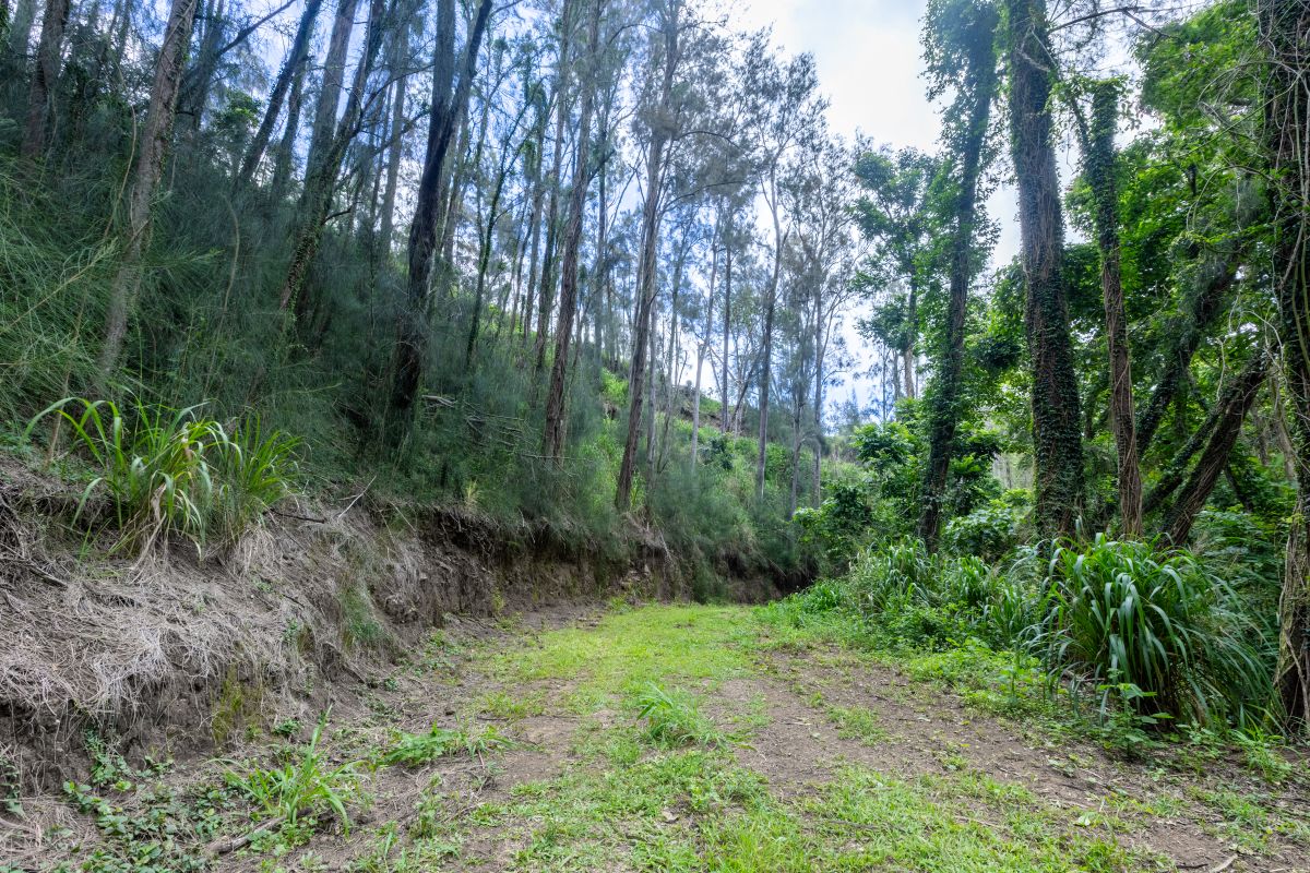 54-1749 PAIPO KANE RD