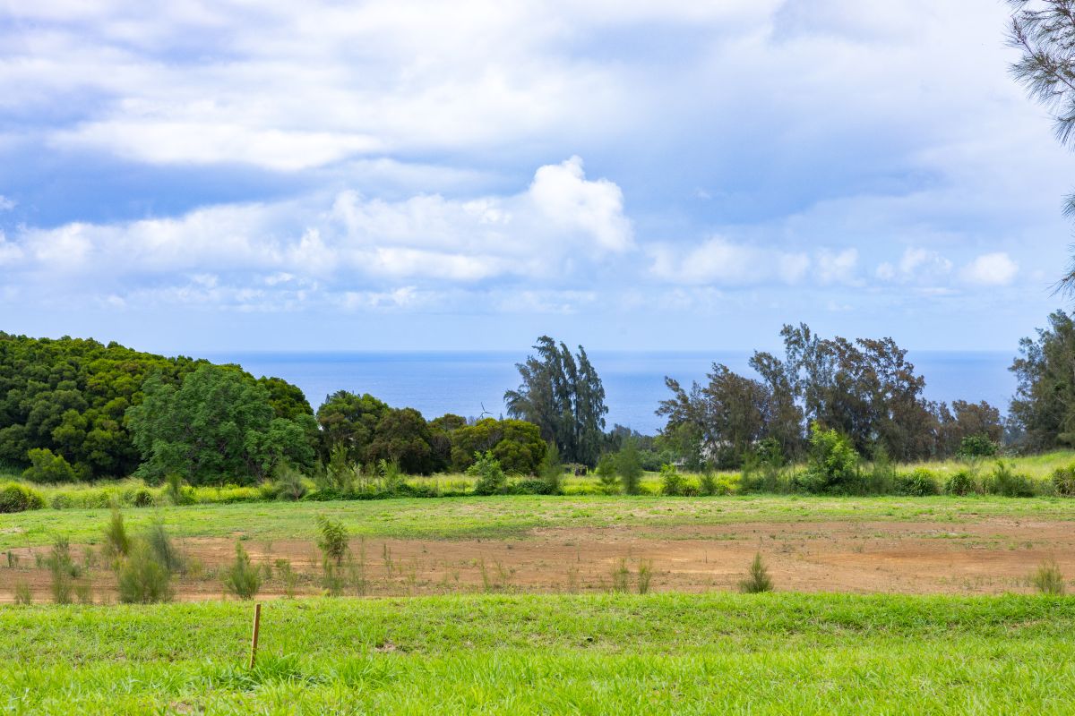 54-1749 PAIPO KANE RD