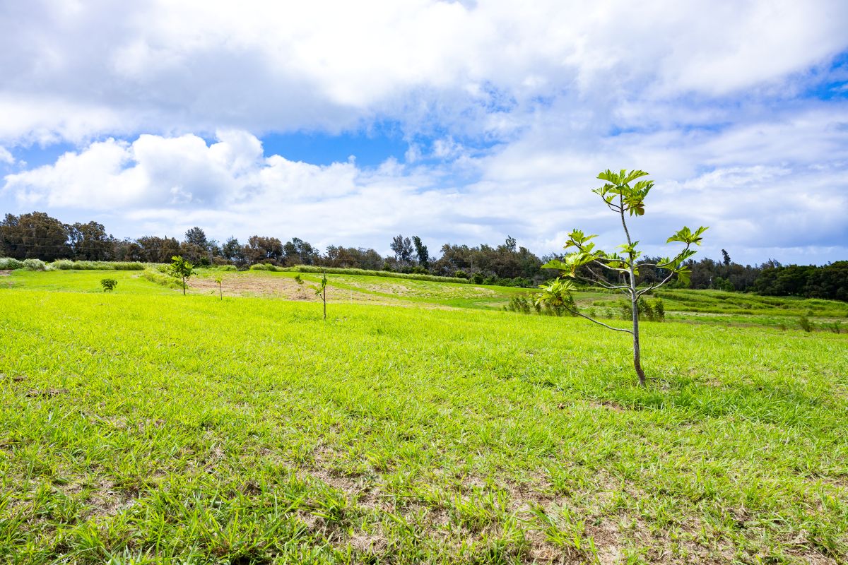54-1749 PAIPO KANE RD
