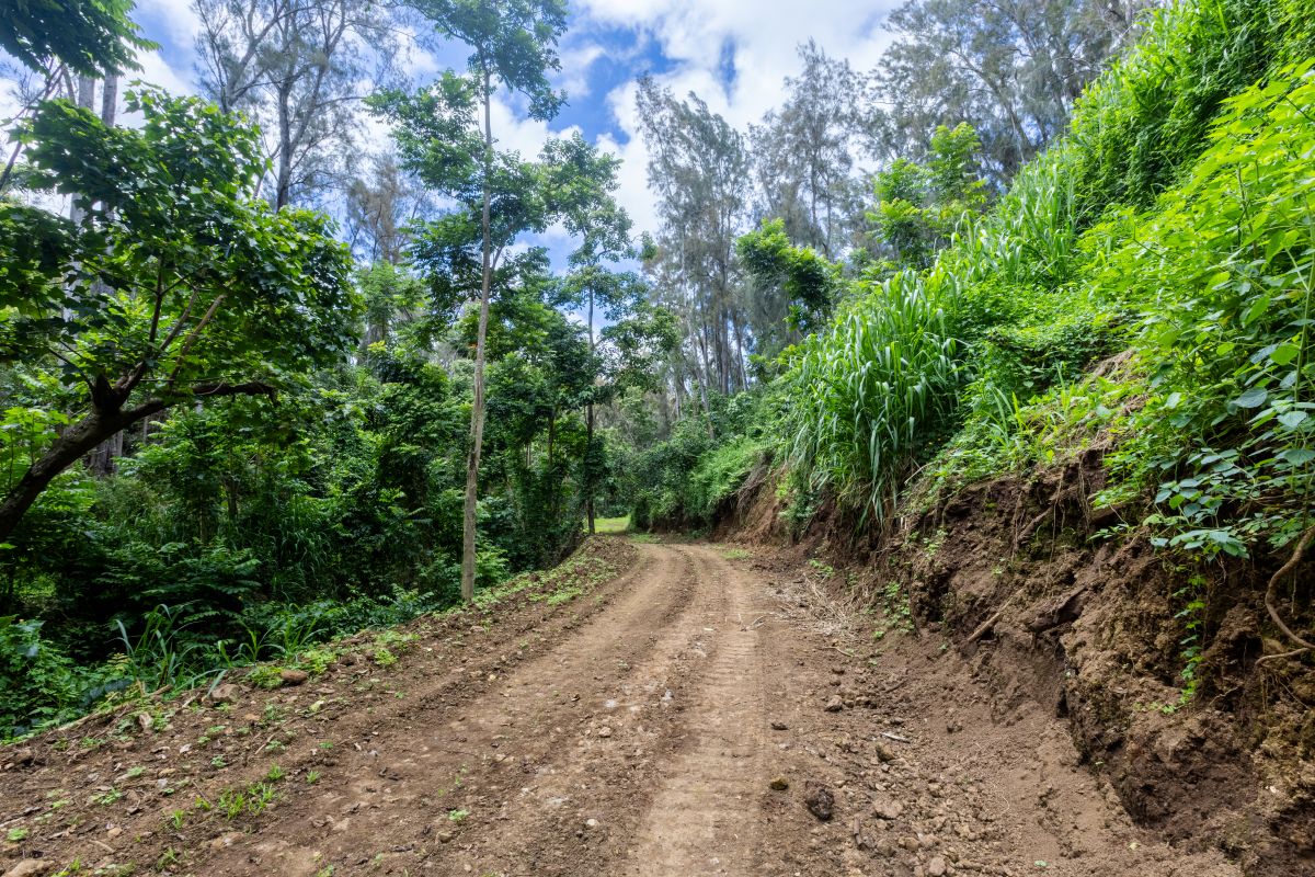 54-1749 PAIPO KANE RD
