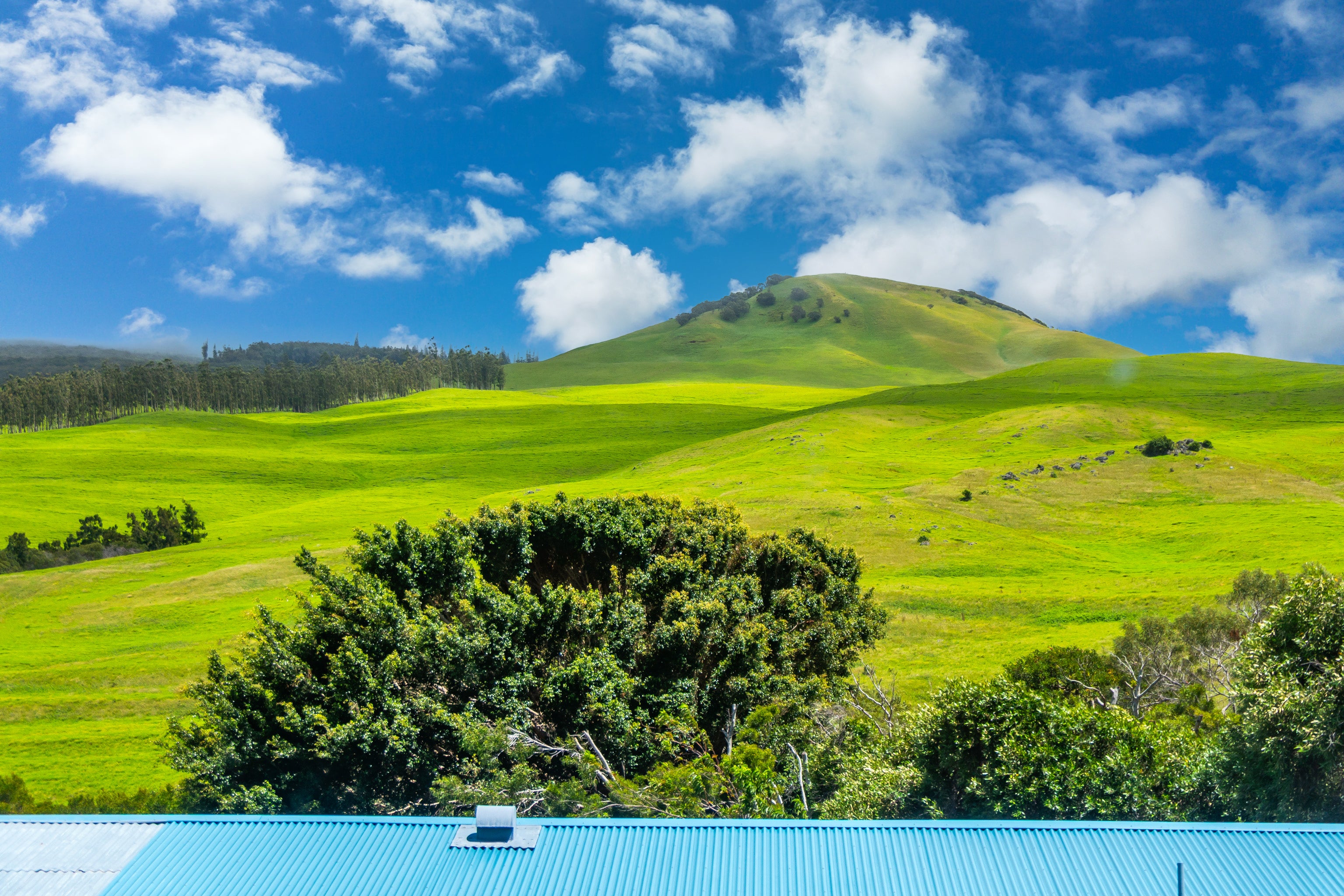 Rolling green hills and a rounded hill seen above a blue corrugated roof.