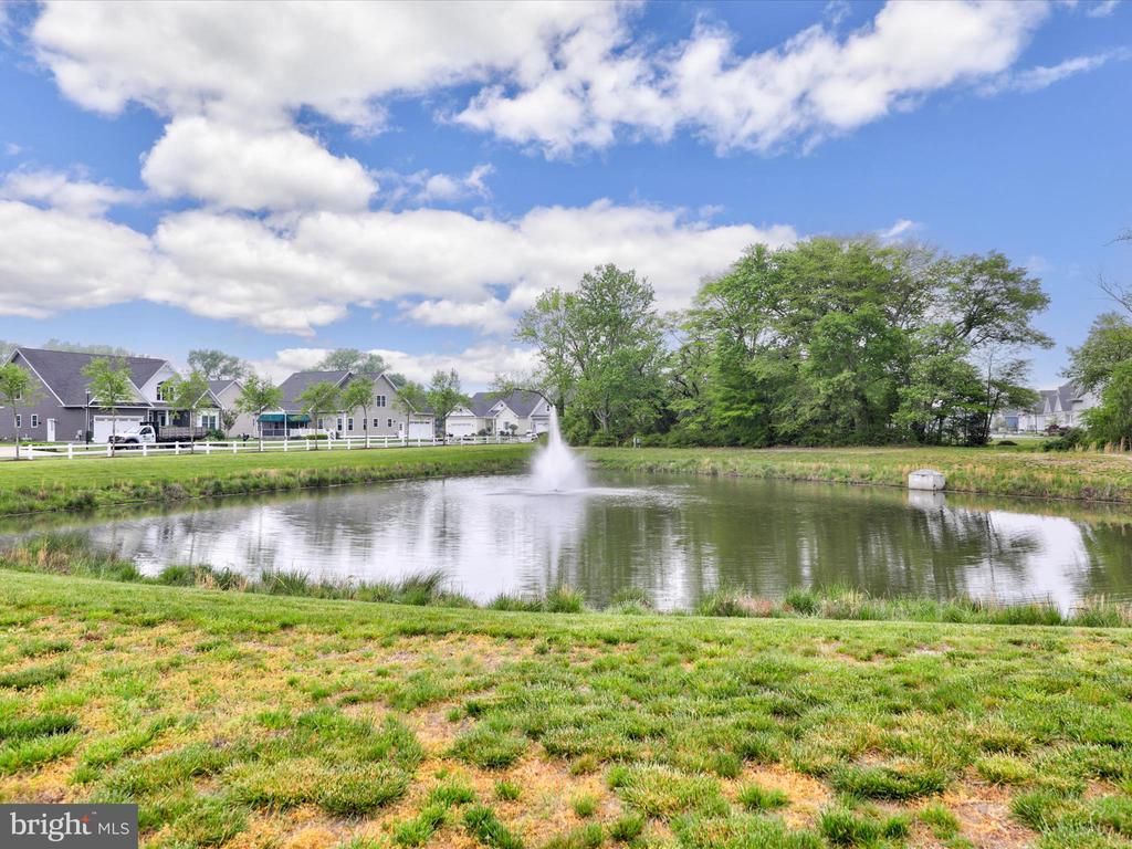 32019 Logan Ct