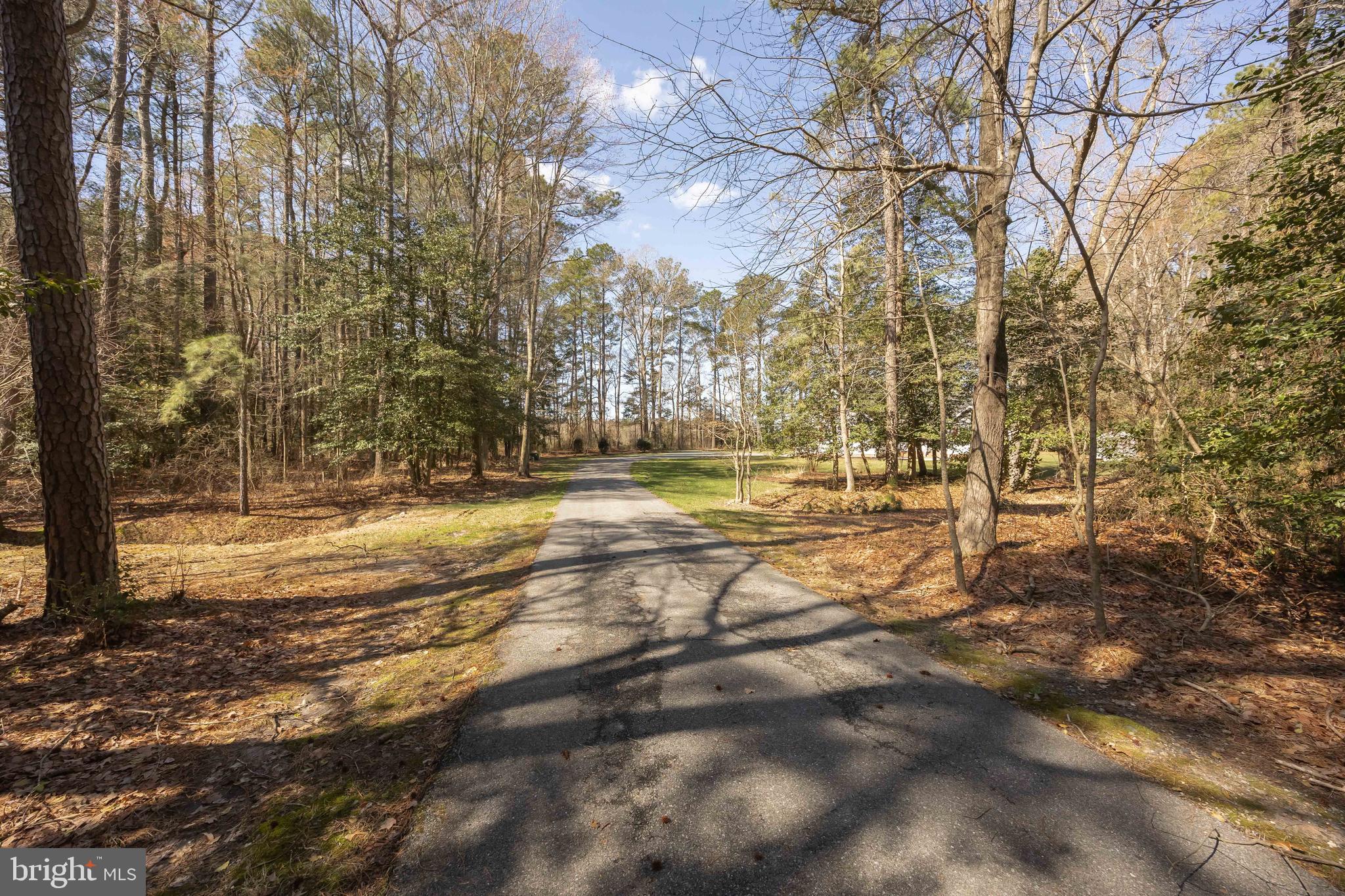 7814 BROADLEAF DRIVE