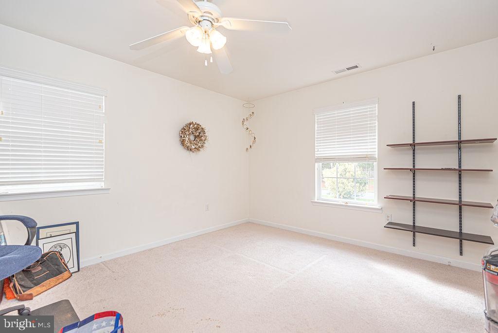 Carpeted room with two blinded windows, a ceiling fan, and wall-mounted shelves.
