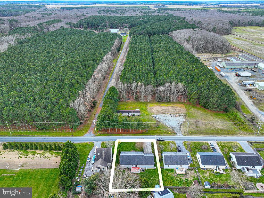 Aerial view of a white-outlined roadside parcel with a small building and wooded land.