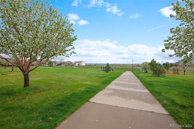 13731 Ash Circle
