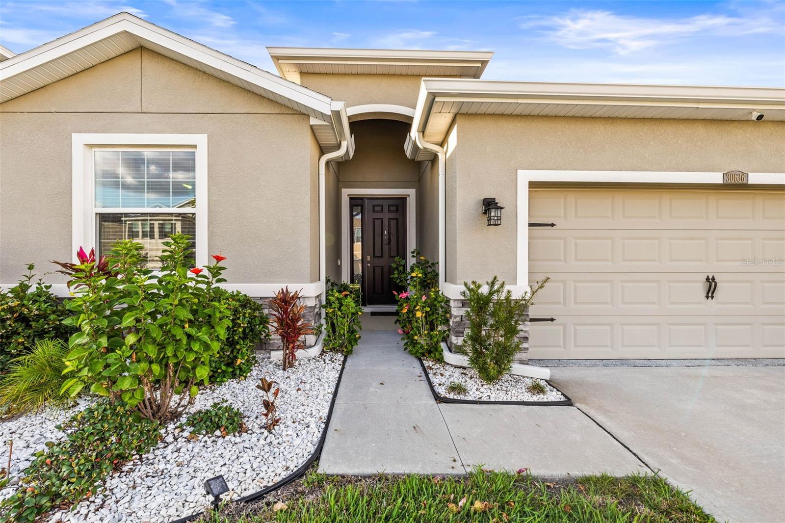 30636 PENNY SURF LOOP