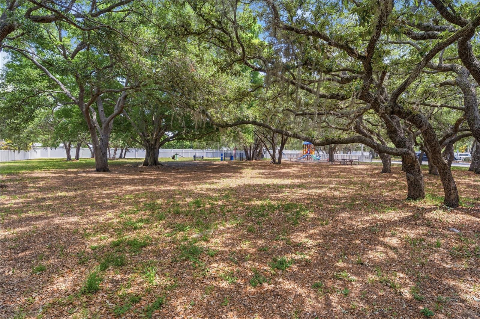 3324 MANOR COVE CIR