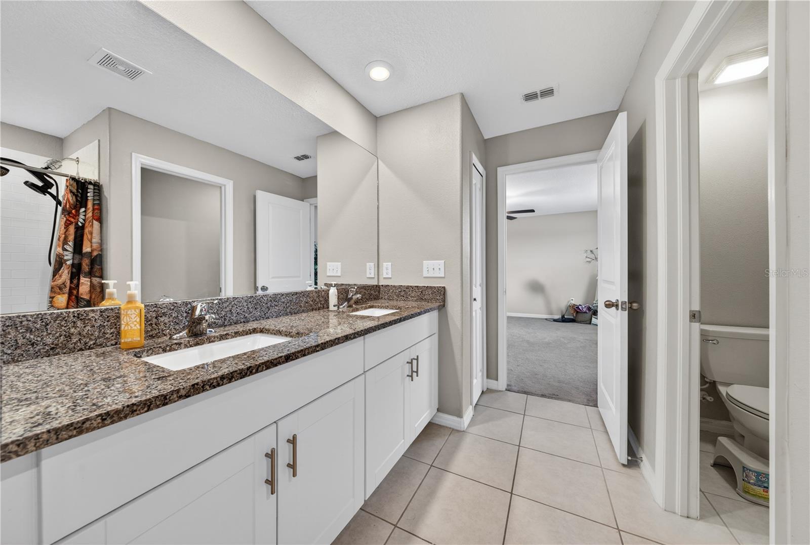 10291 SHADY PRESERVE DR