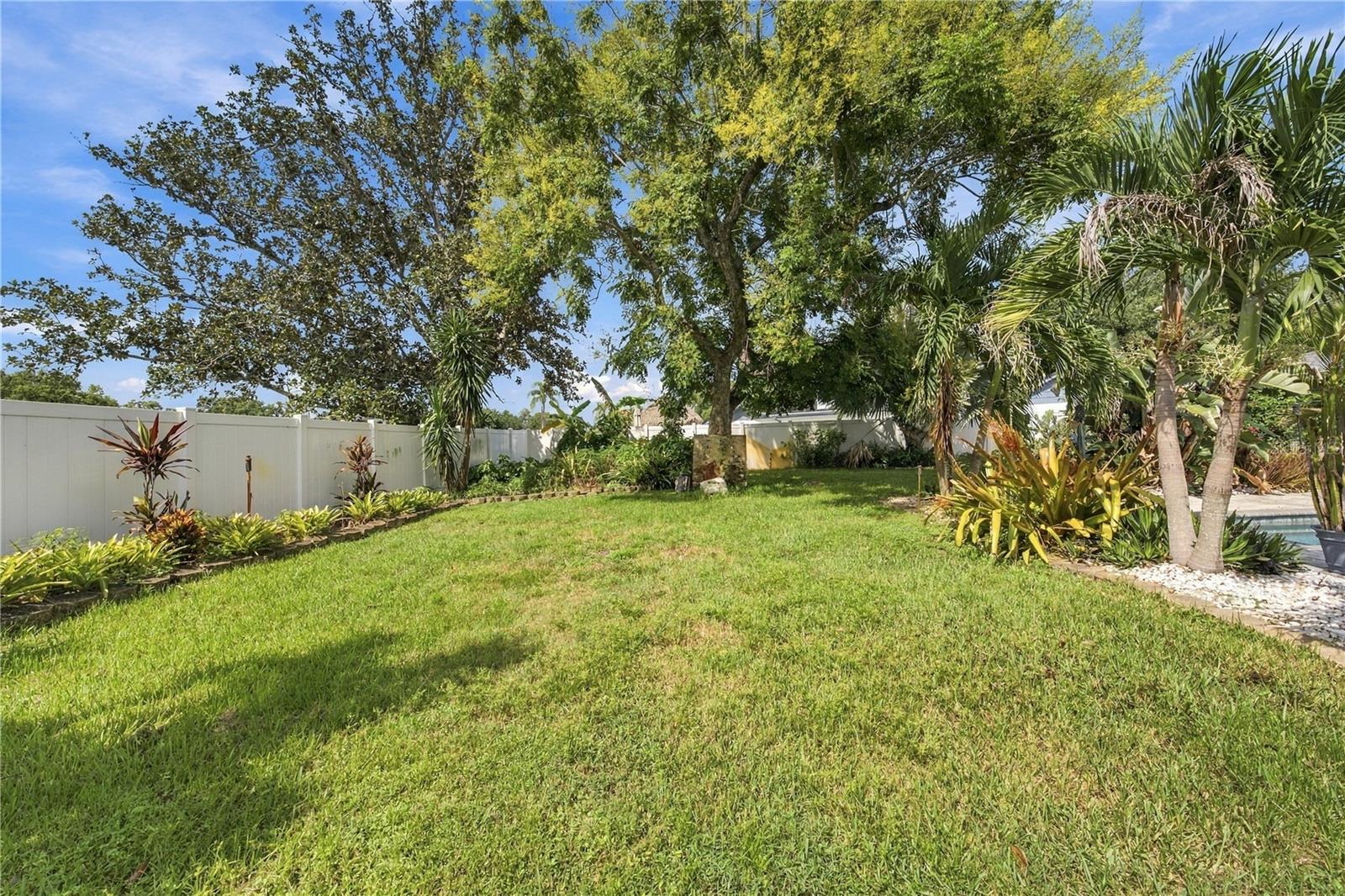 Backyard lawn beneath mature trees, with tropical plants, a white fence, and a glimpse of the pool.