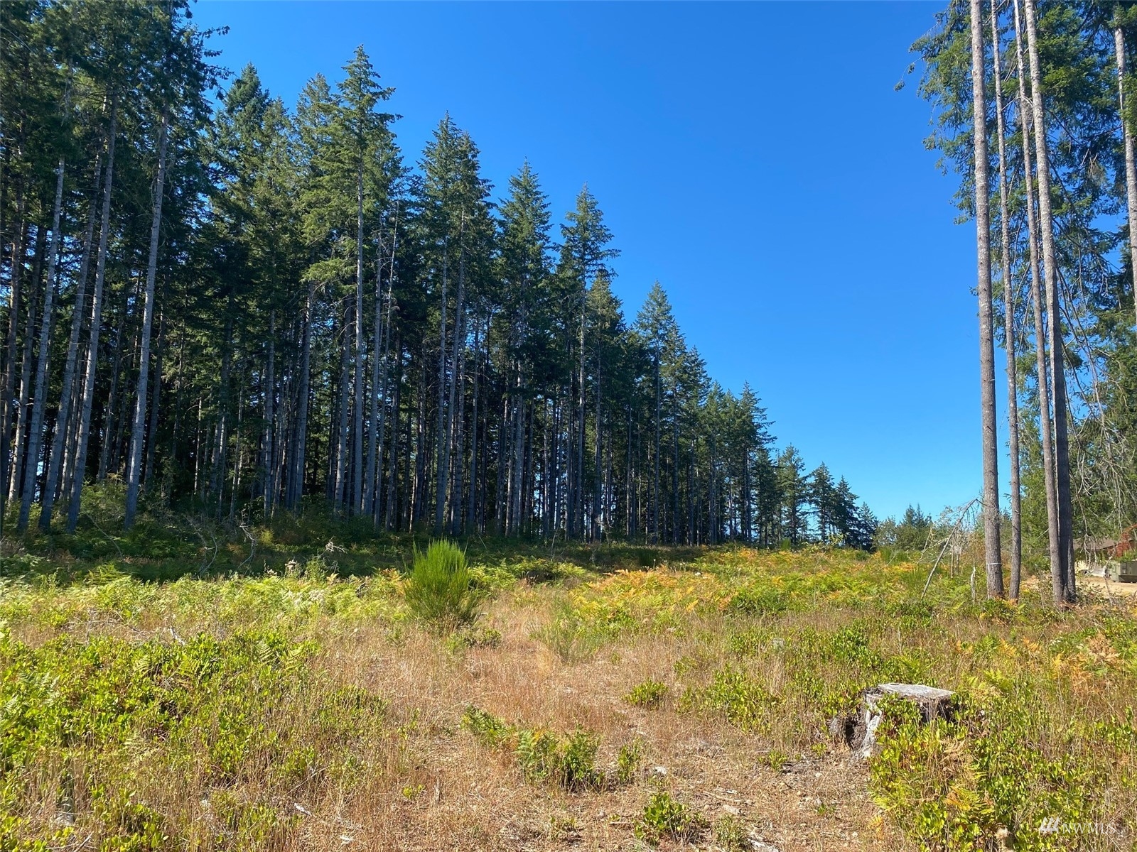 0 Lot 6 SE Mill Creek Road