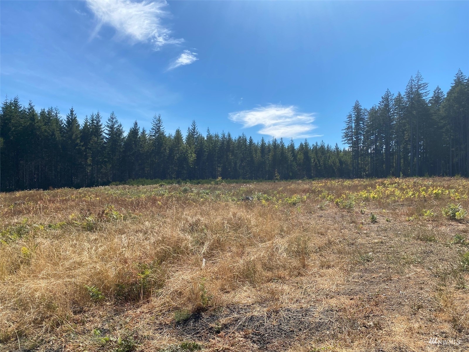 0 Lot 6 SE Mill Creek Road