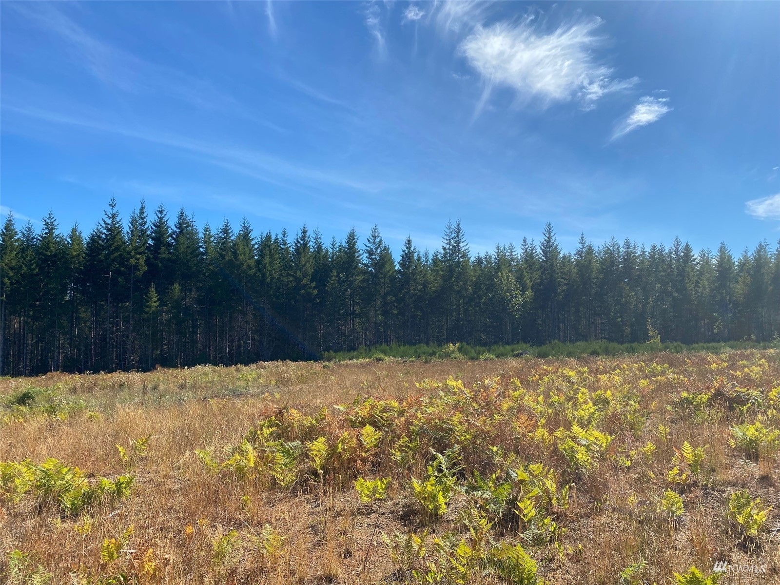 0 Lot 6 SE Mill Creek Road