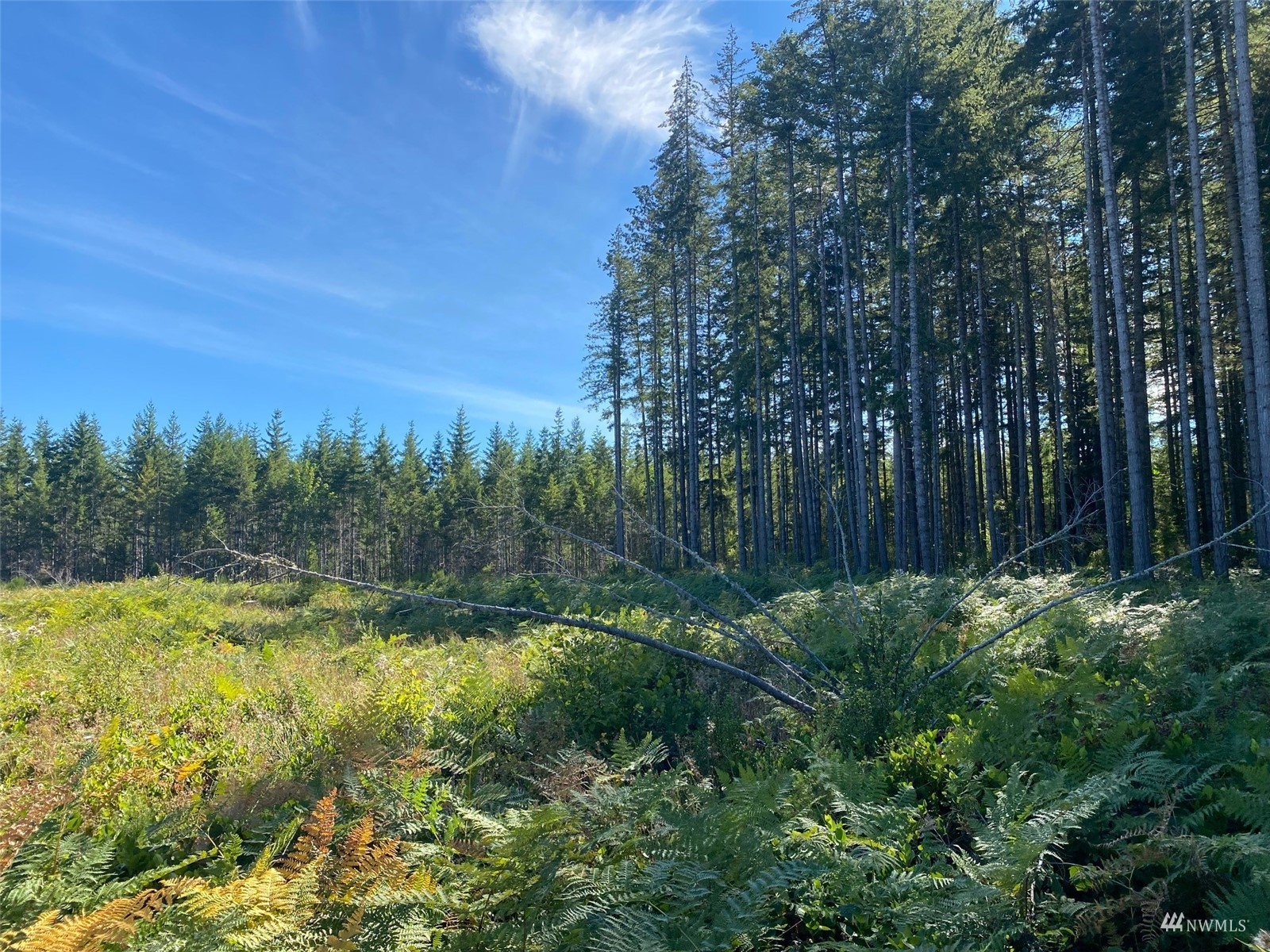 0 Lot 6 SE Mill Creek Road