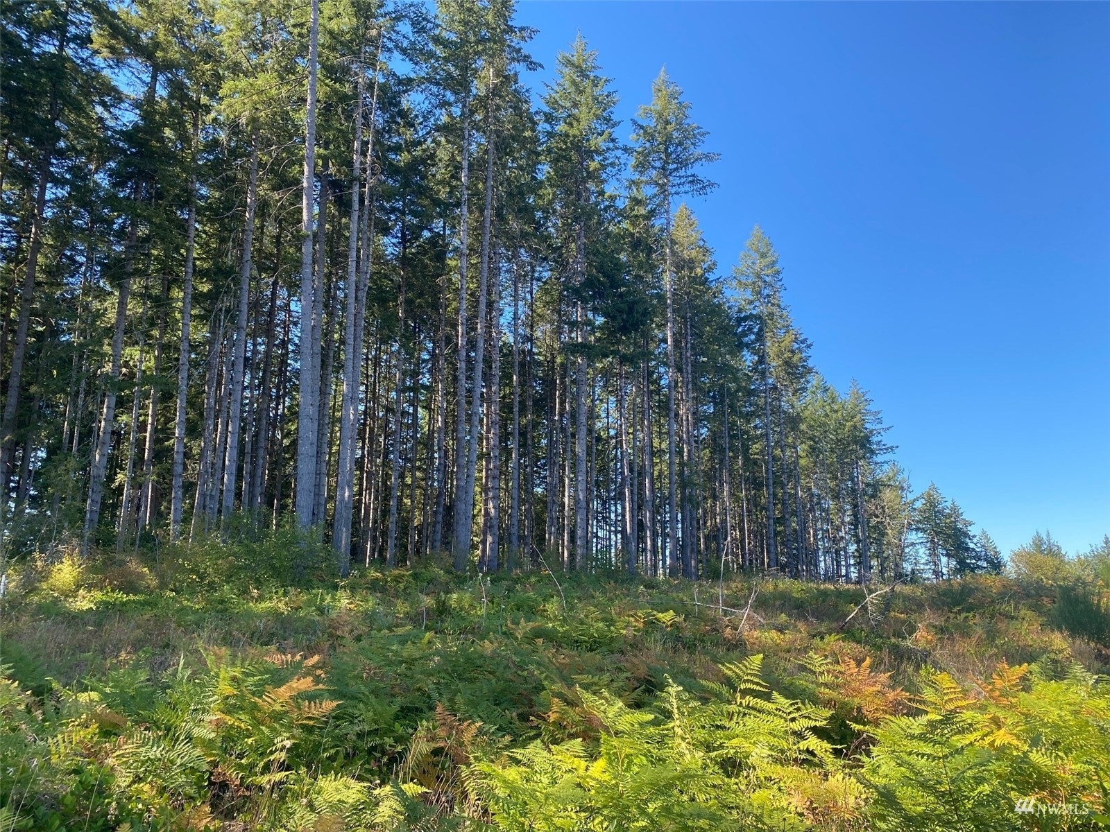 0 Lot 6 SE Mill Creek Road